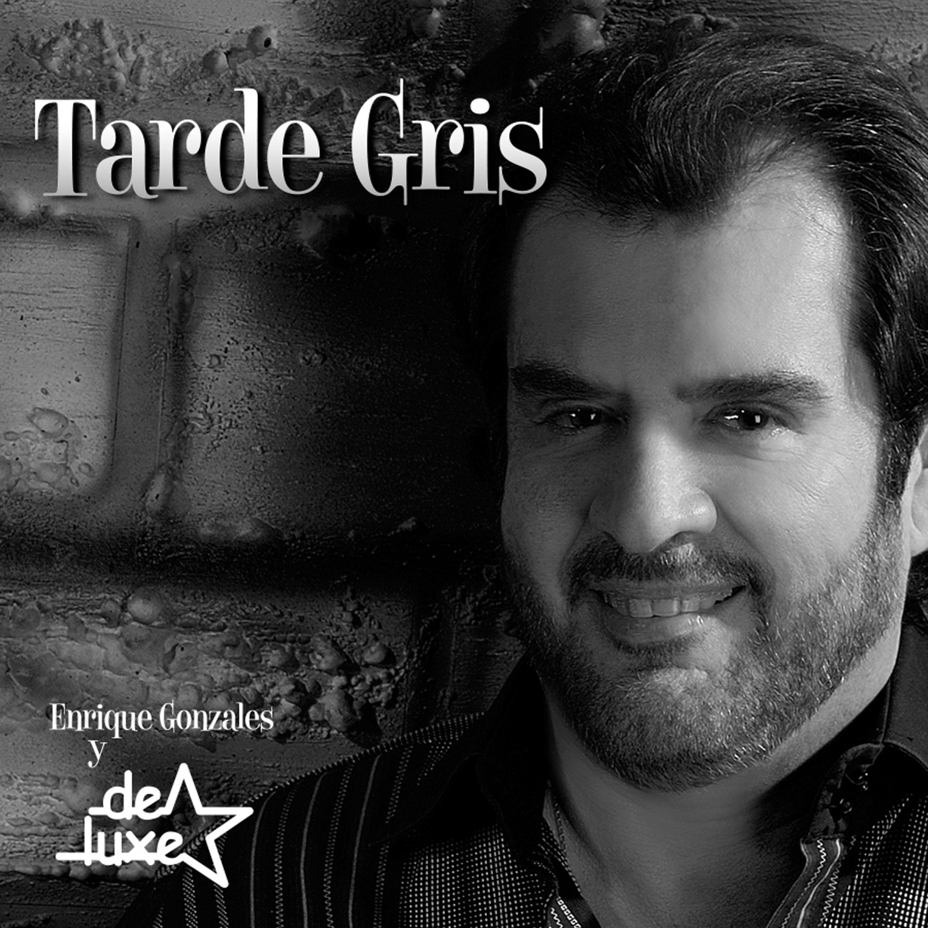 Постер альбома Tarde Gris - Single