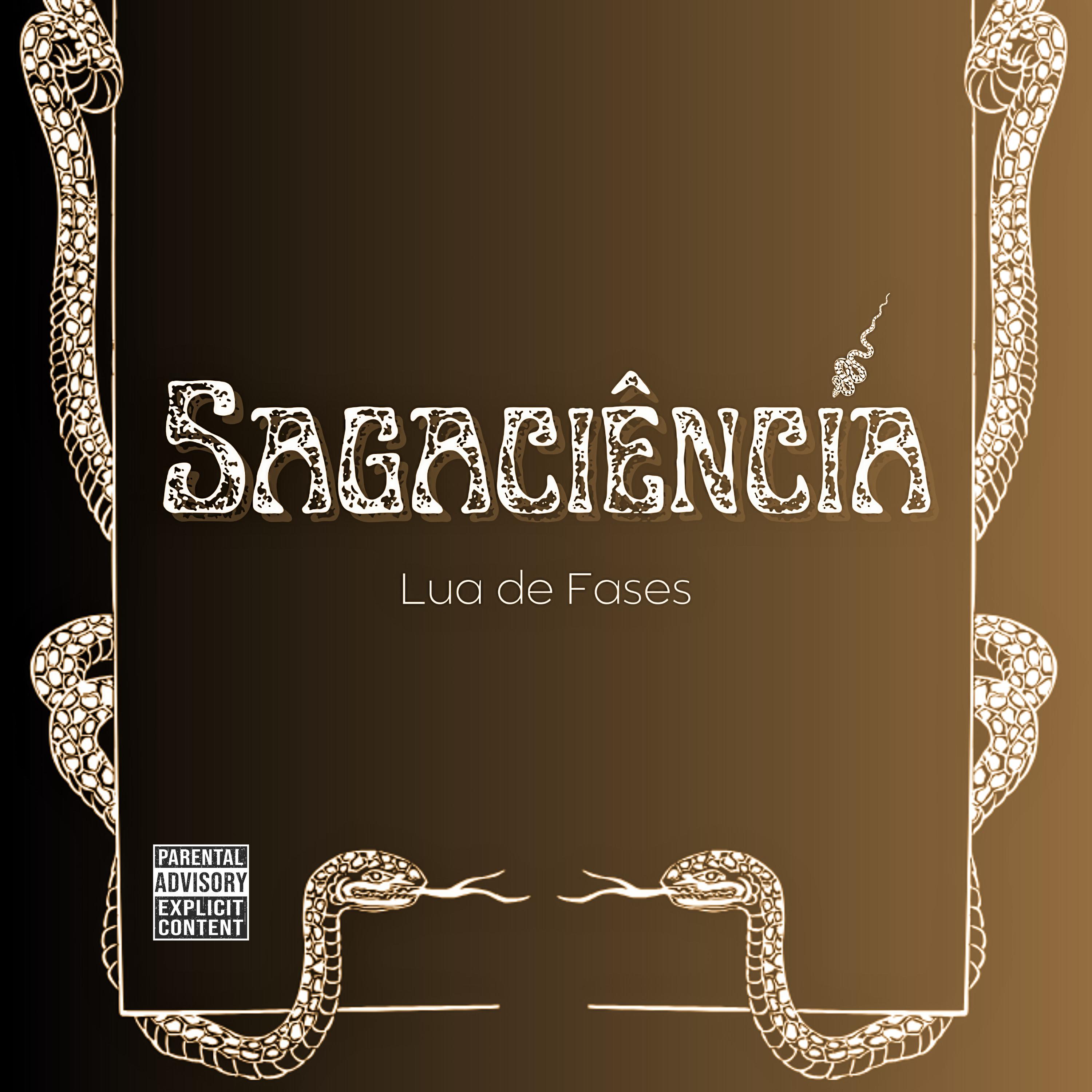 Постер альбома Sagaciência