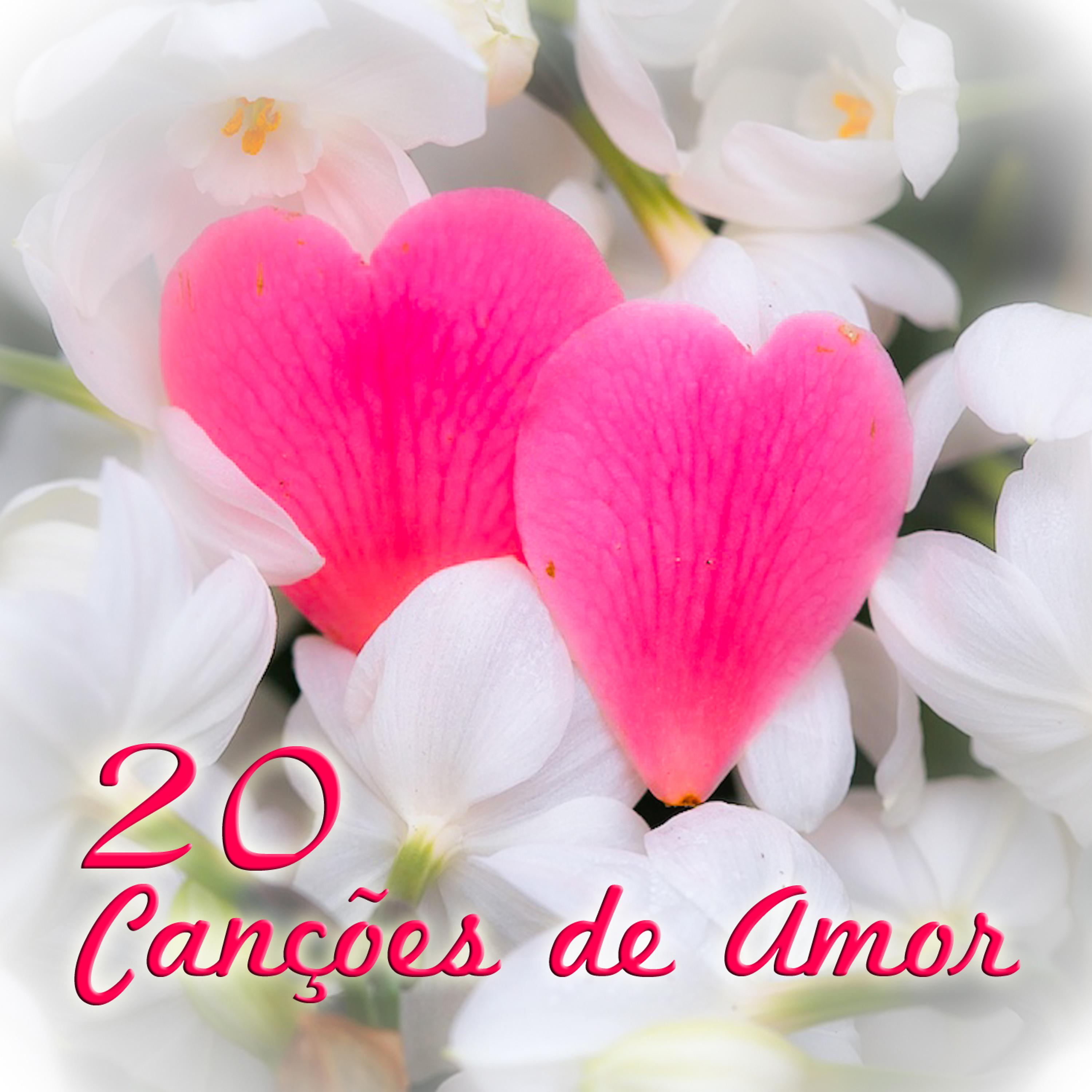 Постер альбома 20 Canções de Amor