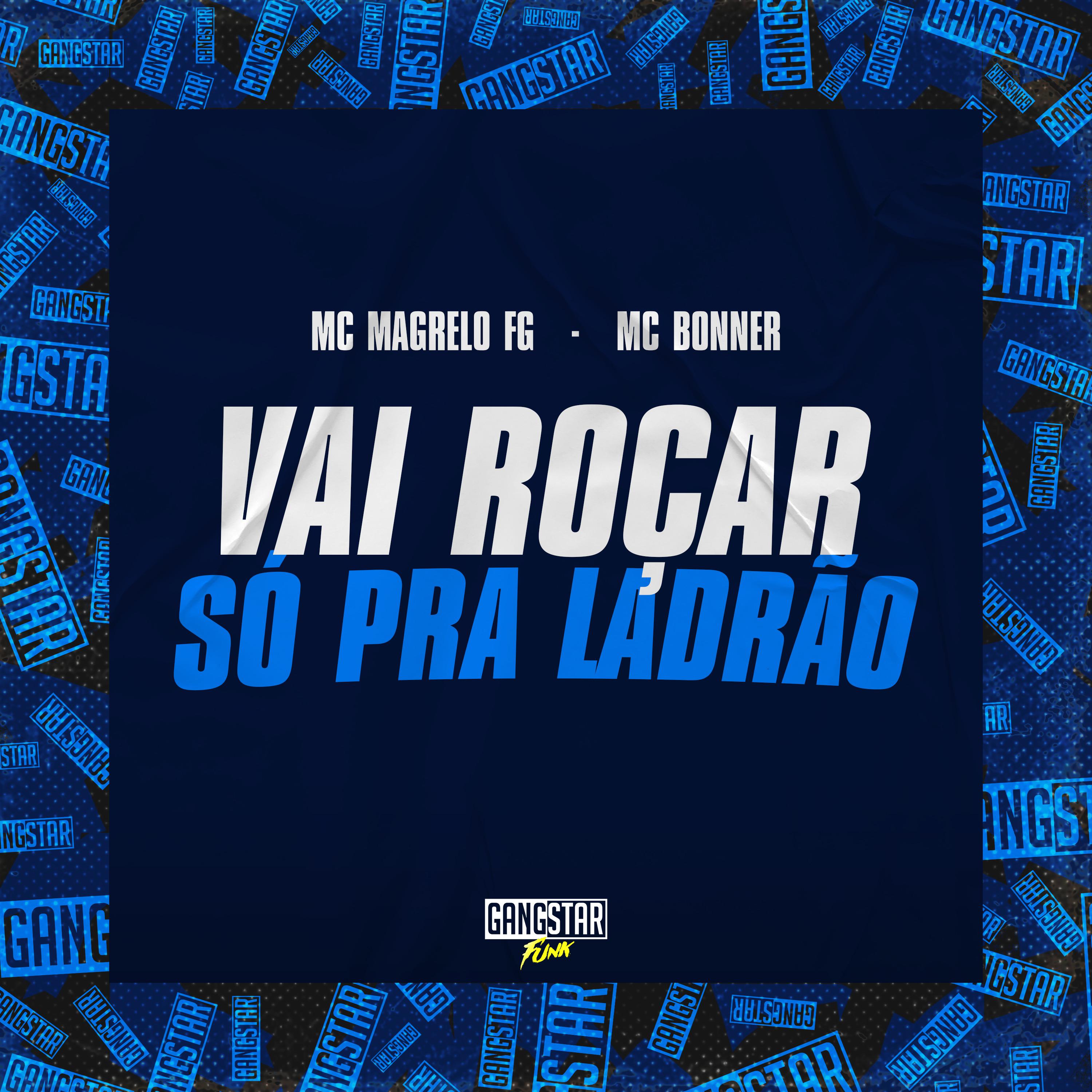 Постер альбома Vai Roçar Só pra Ladrão