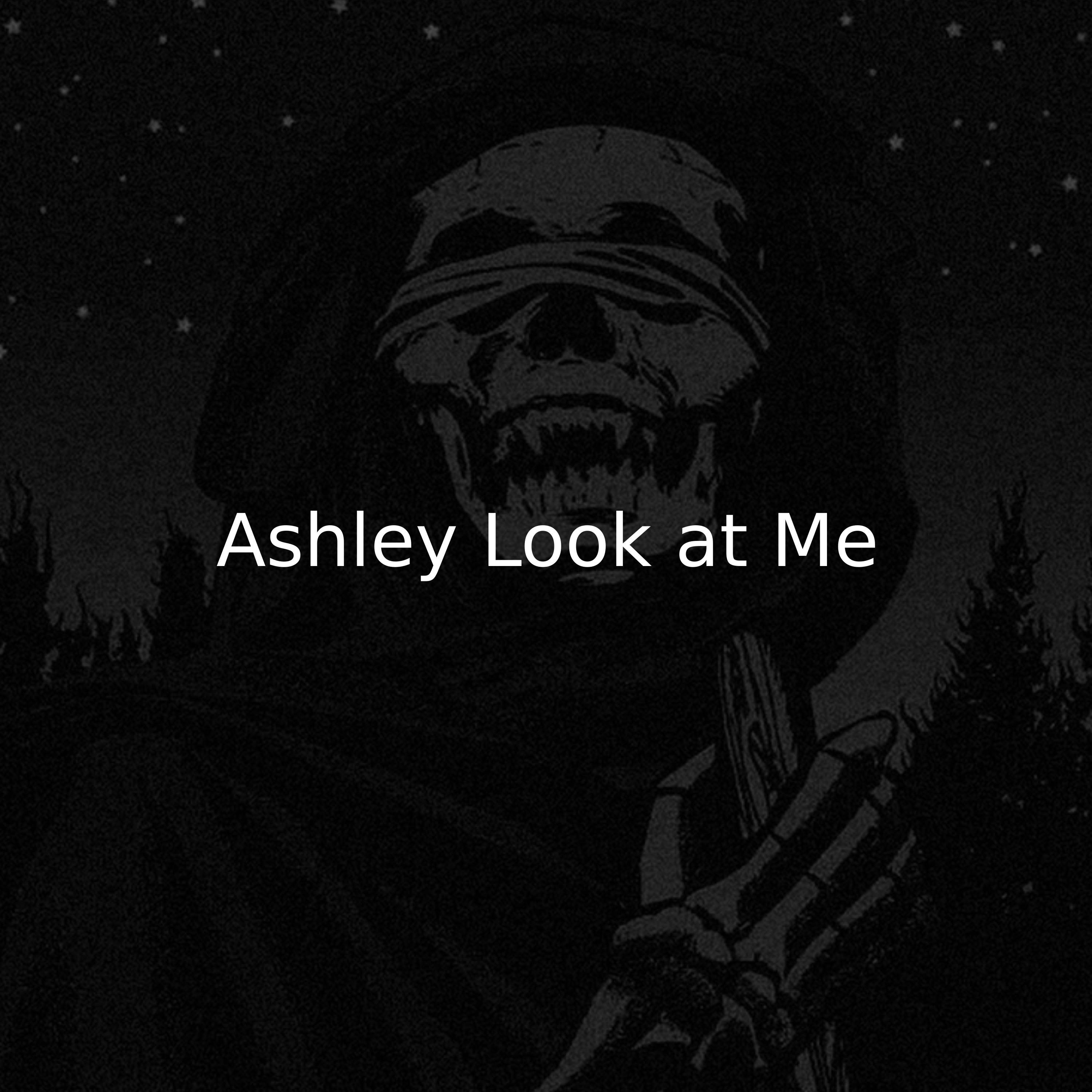Постер альбома Ashley Look at Me
