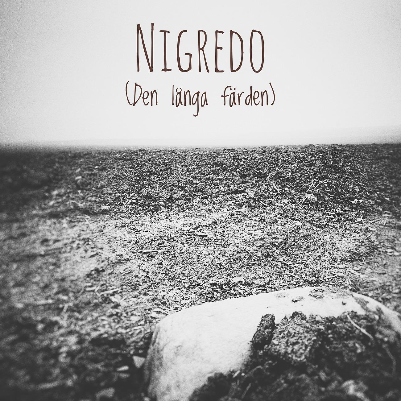 Постер альбома Nigredo (Den långa färden)