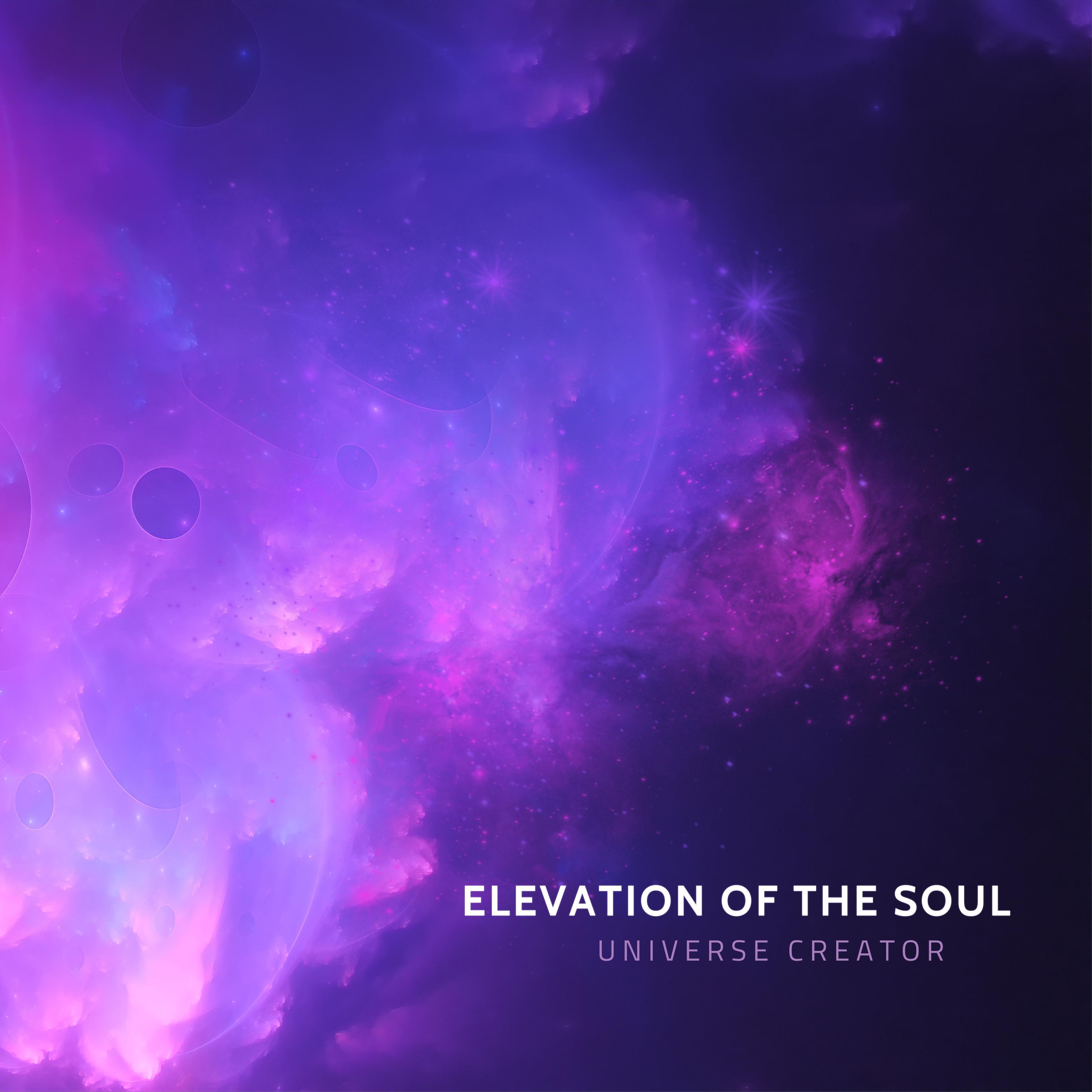 Постер альбома Elevation of the Soul