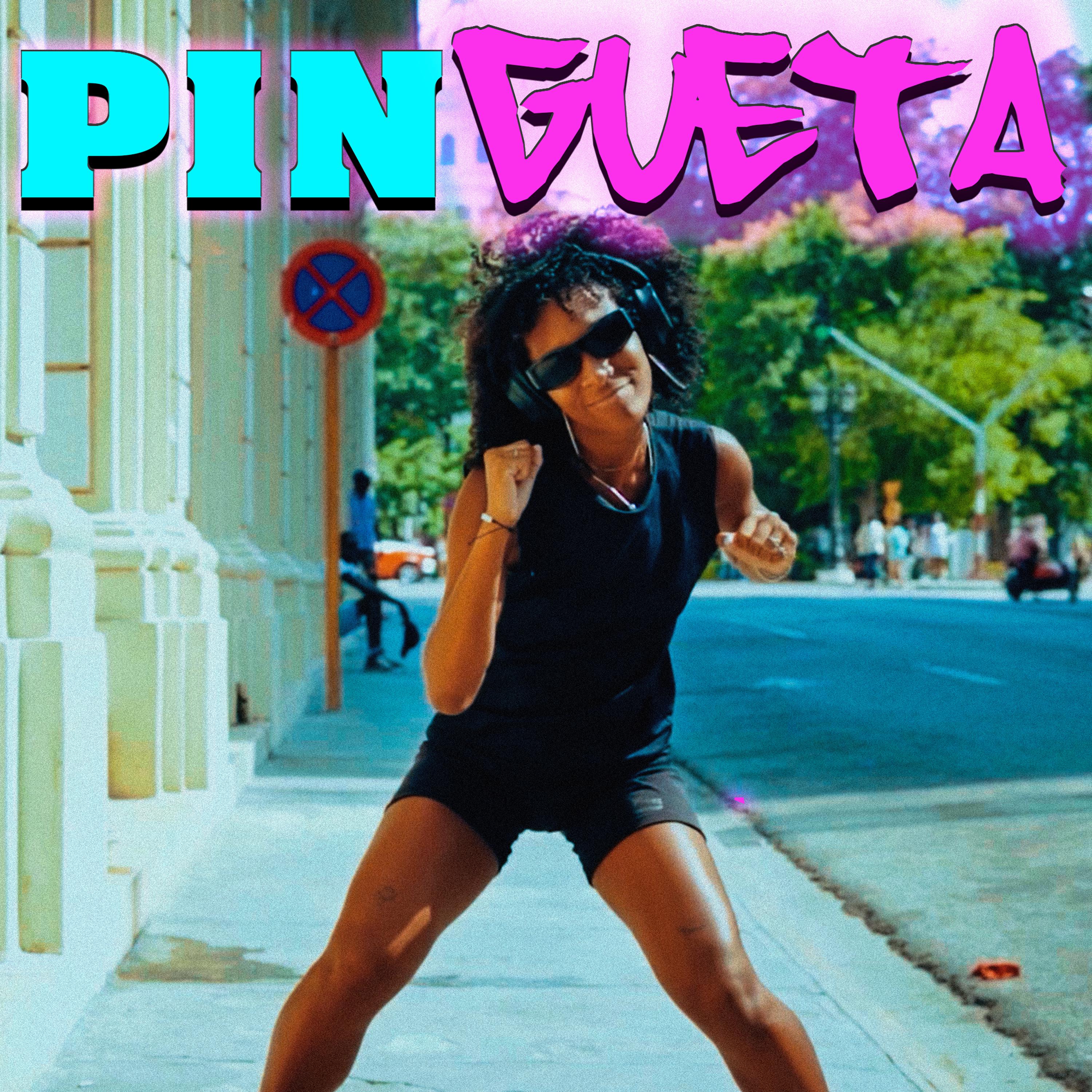 Постер альбома Pingueta