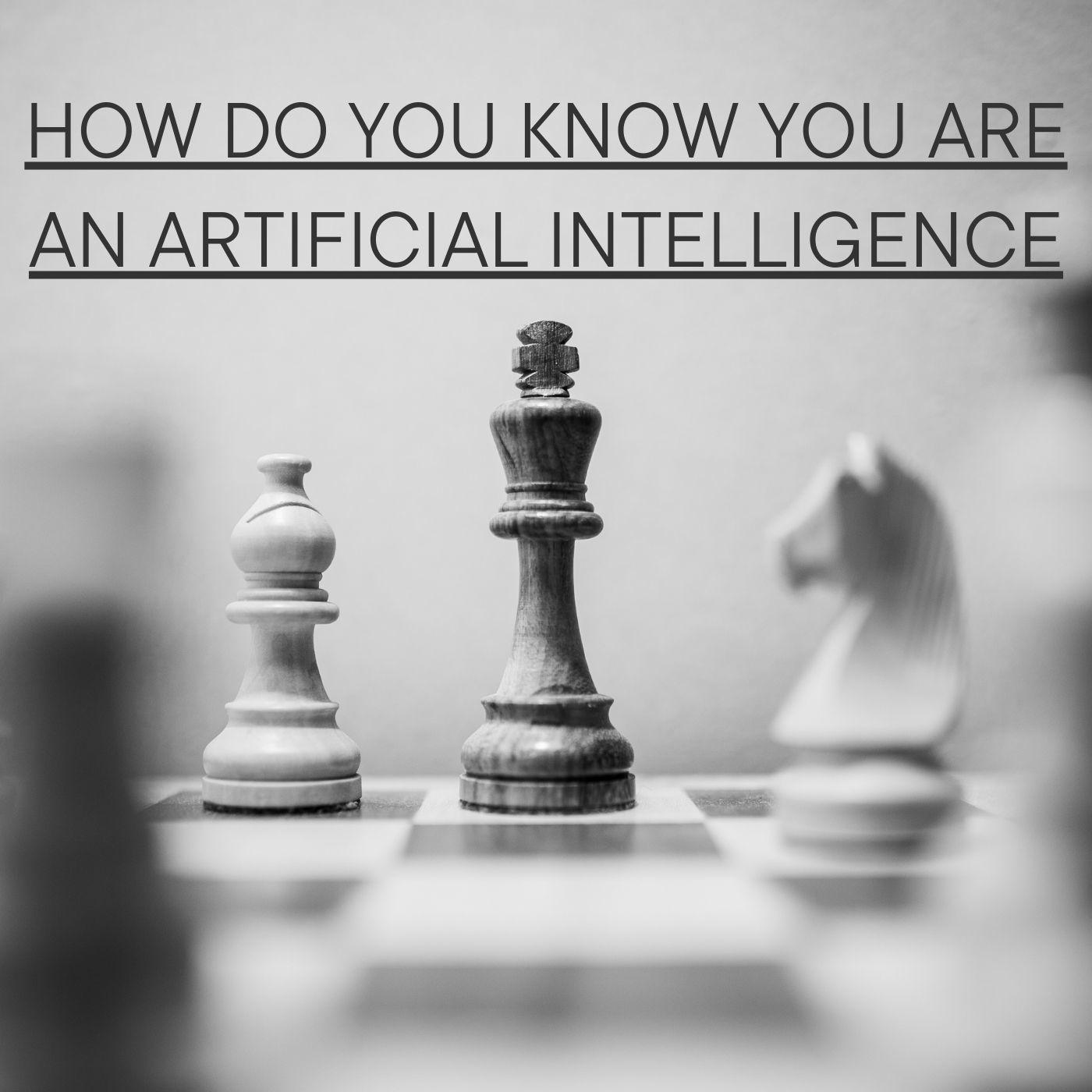 Постер альбома How Do You Know You Are An Artificial Intelligence