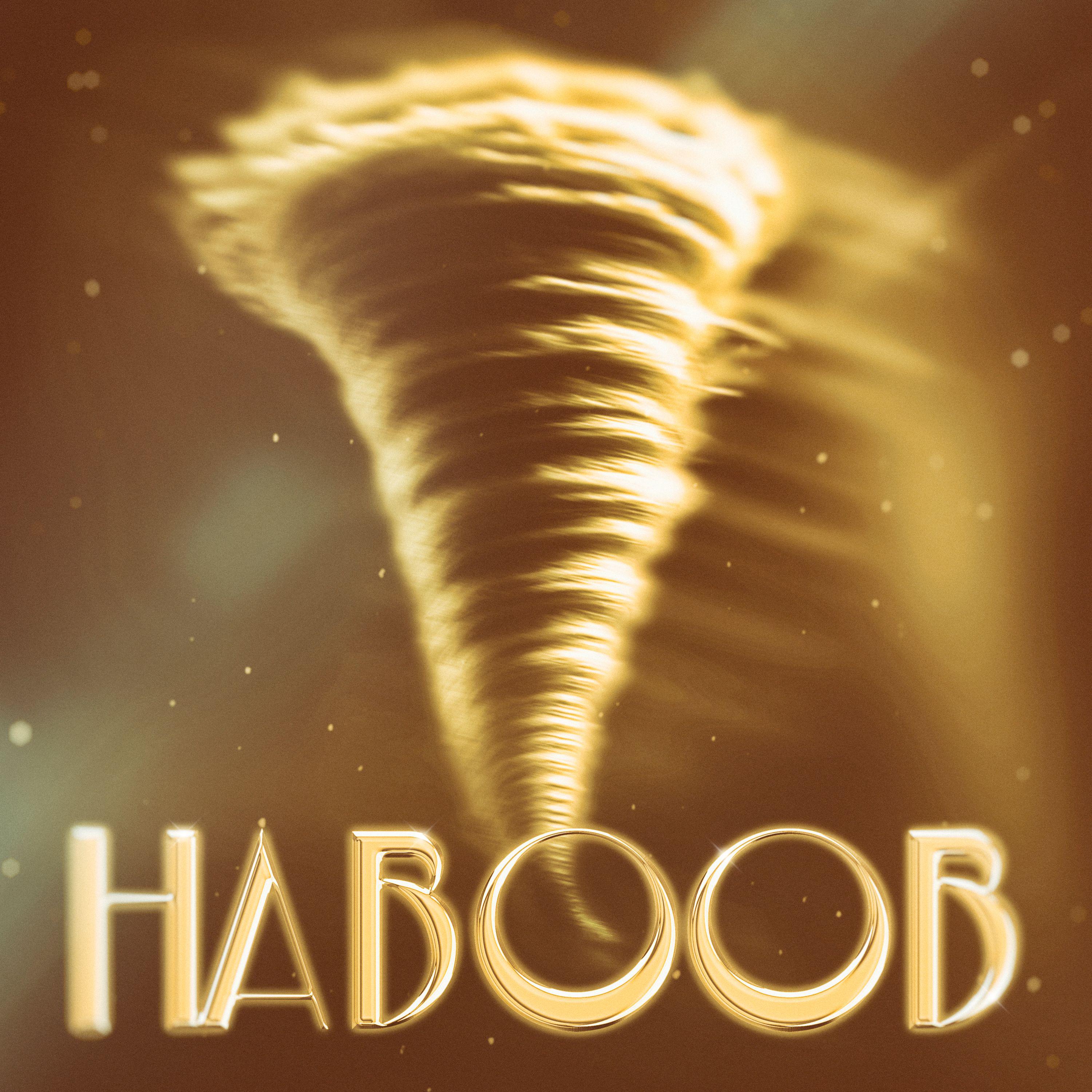 Постер альбома HABOOB