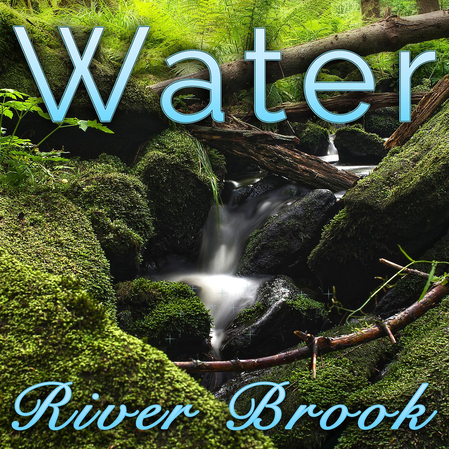 Постер альбома Water, River Brook