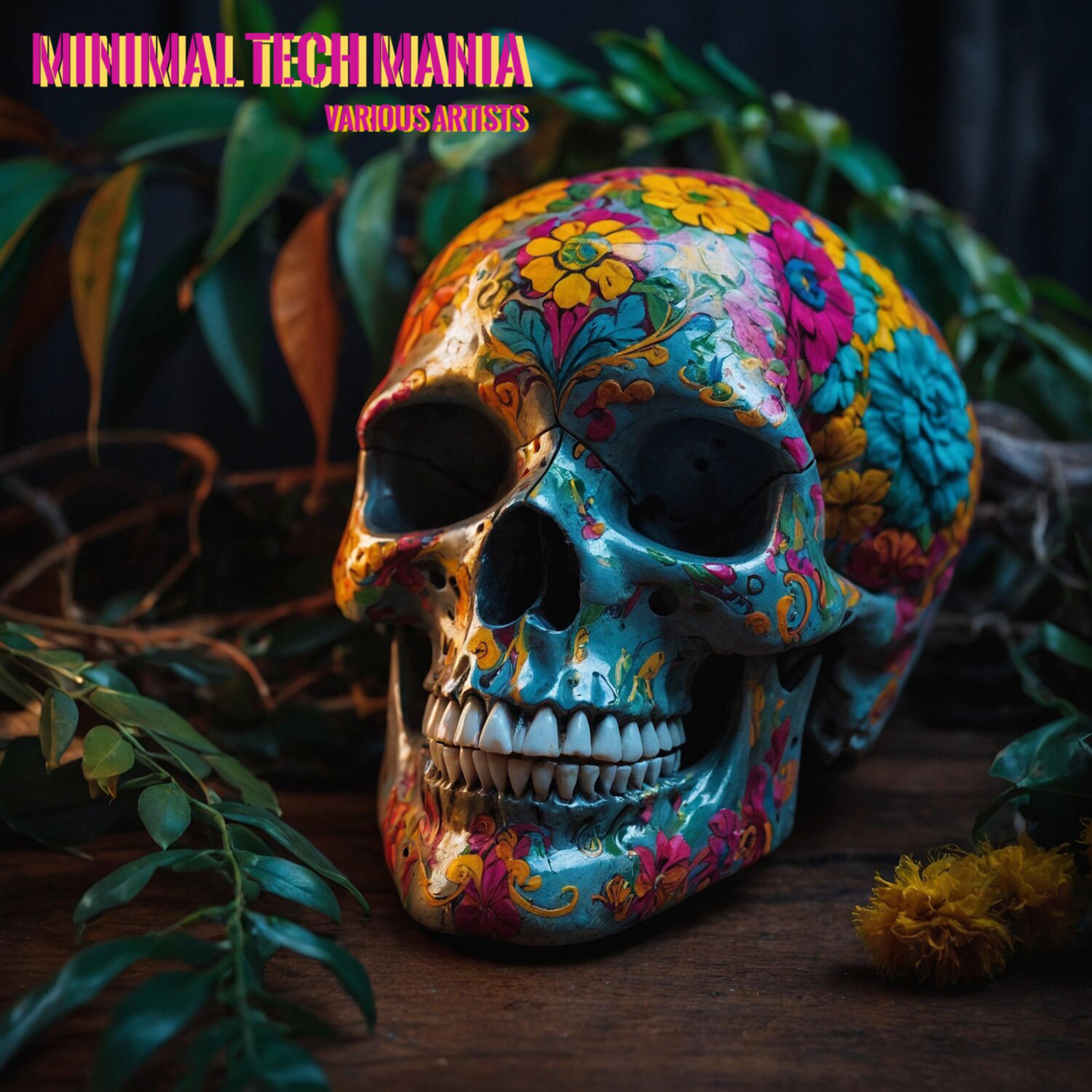 Постер альбома Minimal Tech Mania
