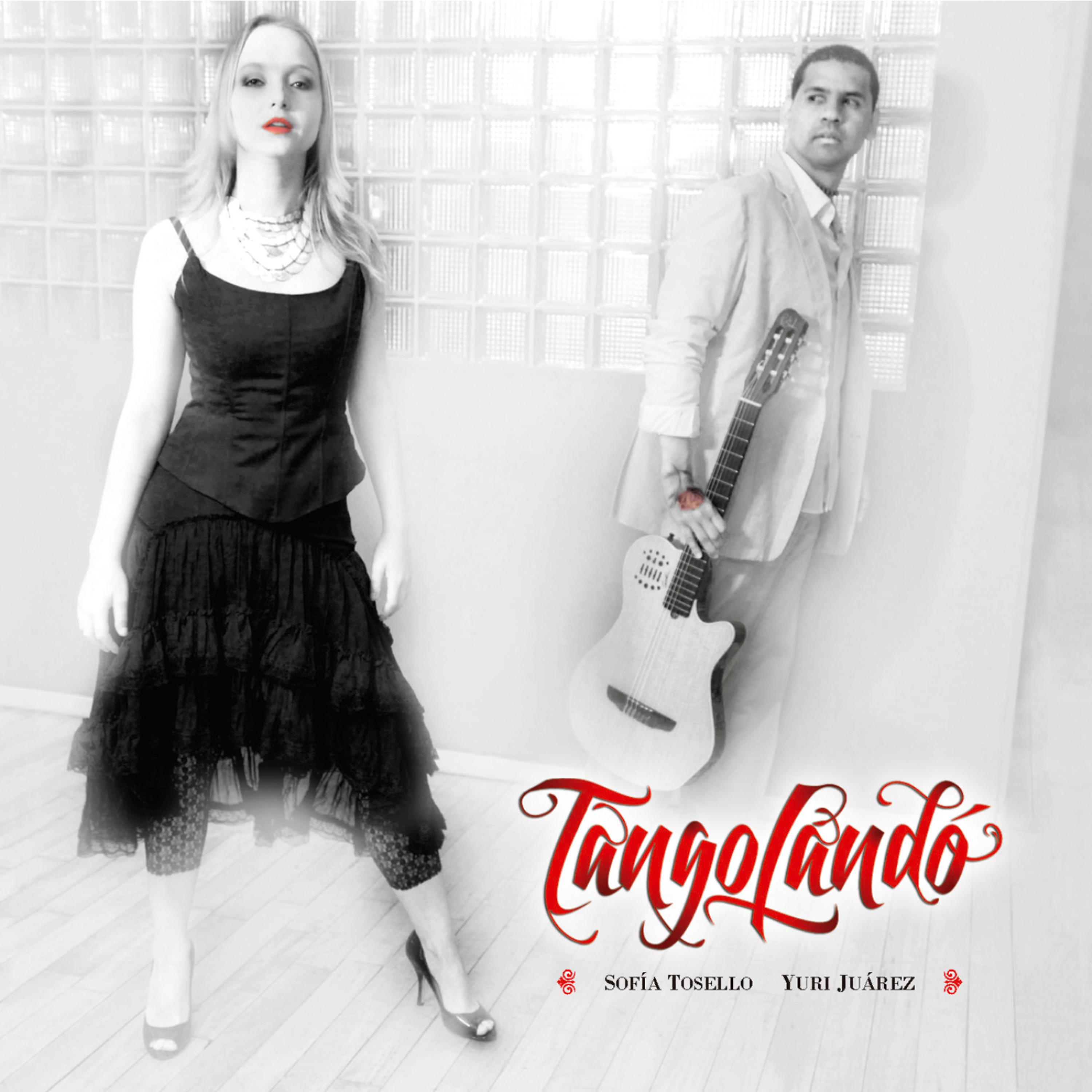 Постер альбома Tangolandó