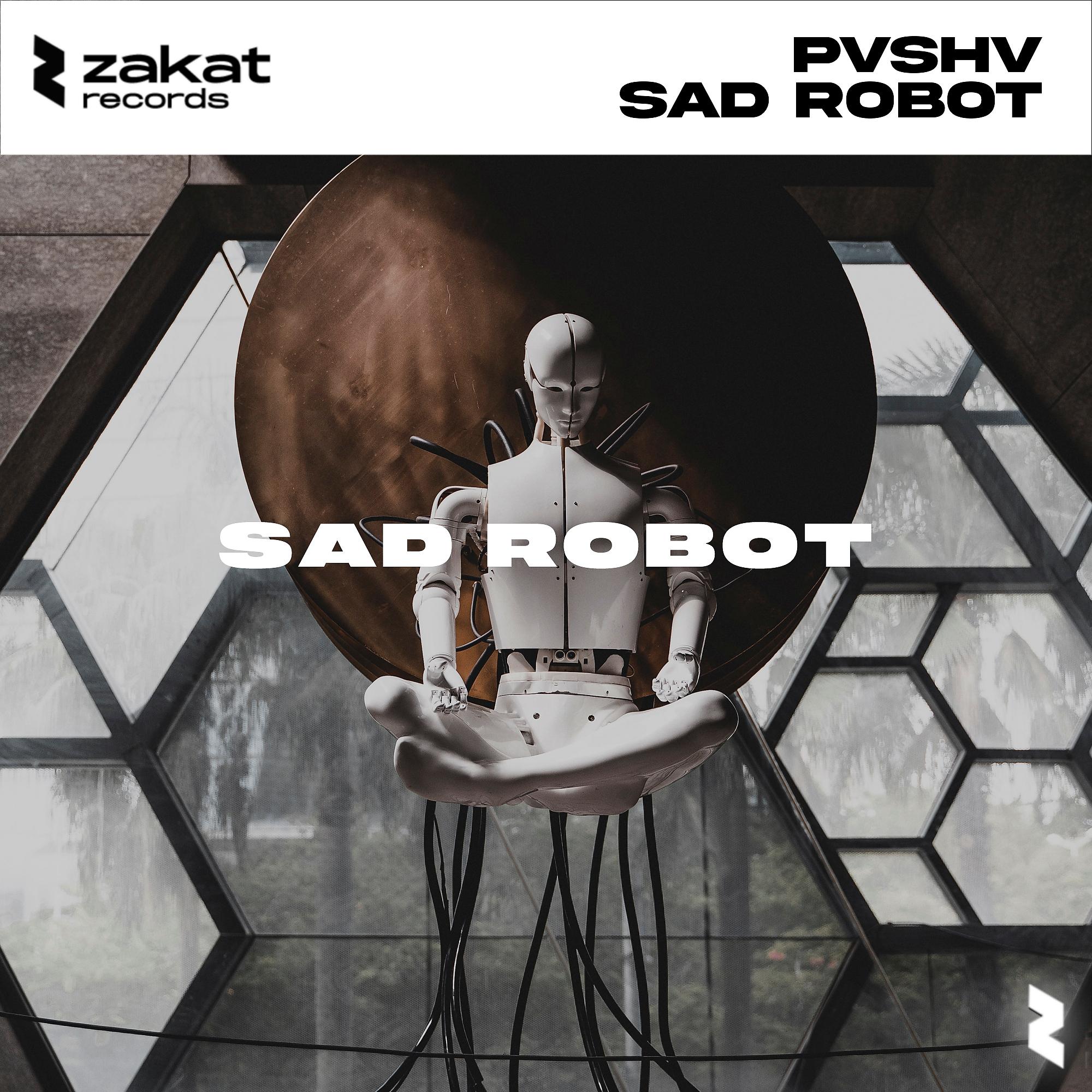 Постер альбома Sad Robot