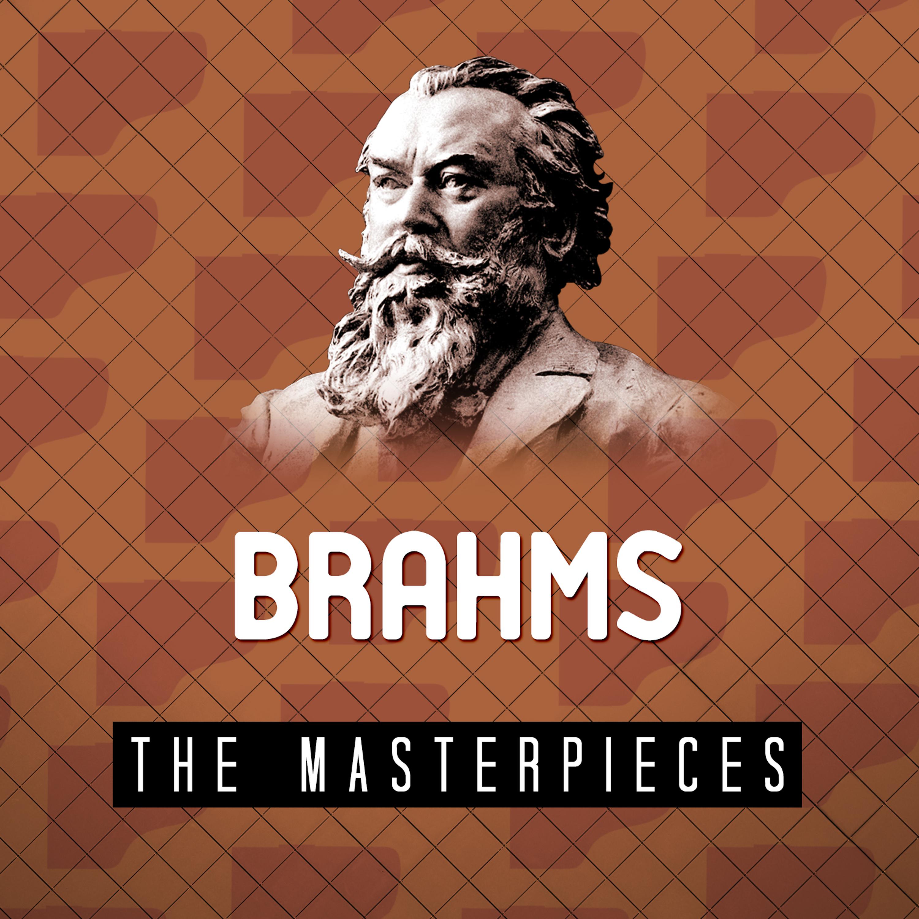 Постер альбома Brahms - The Masterpieces