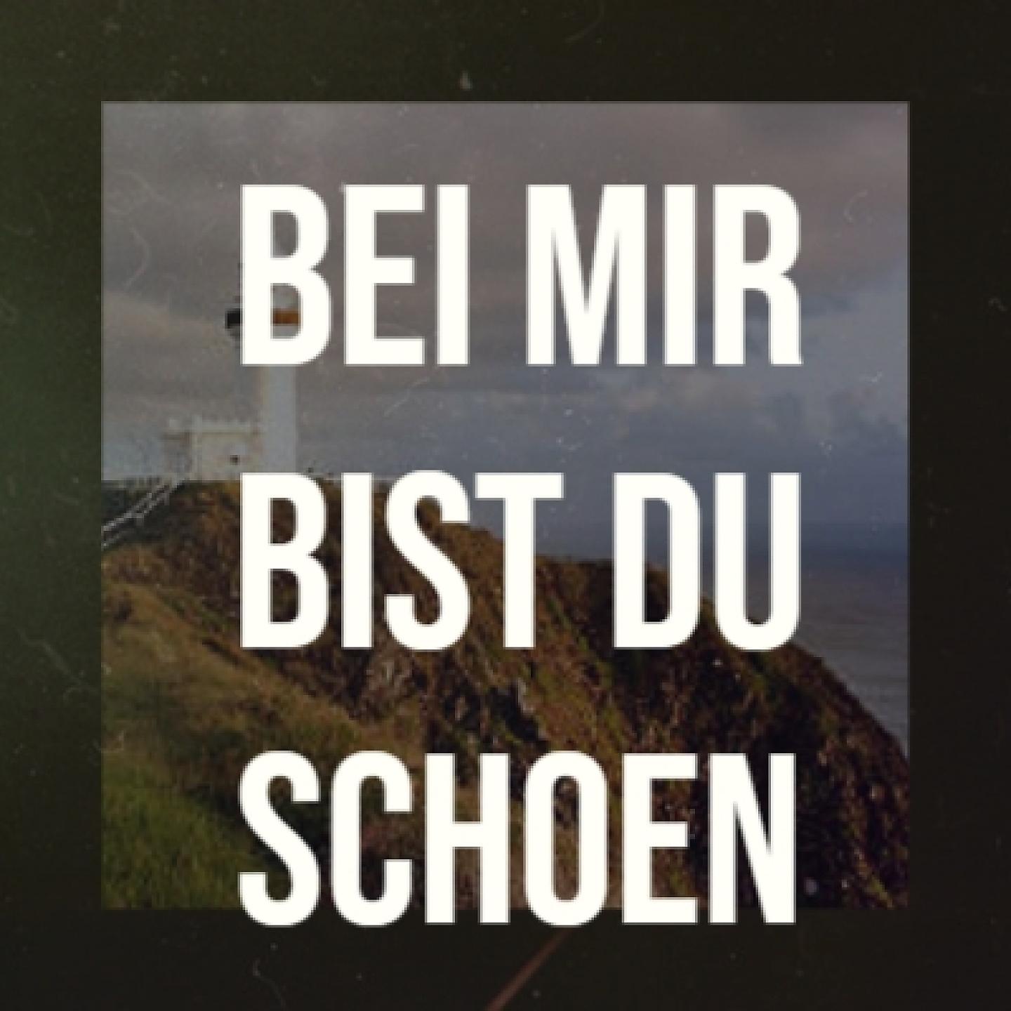 Постер альбома Bei Mir Bist Du Schoen
