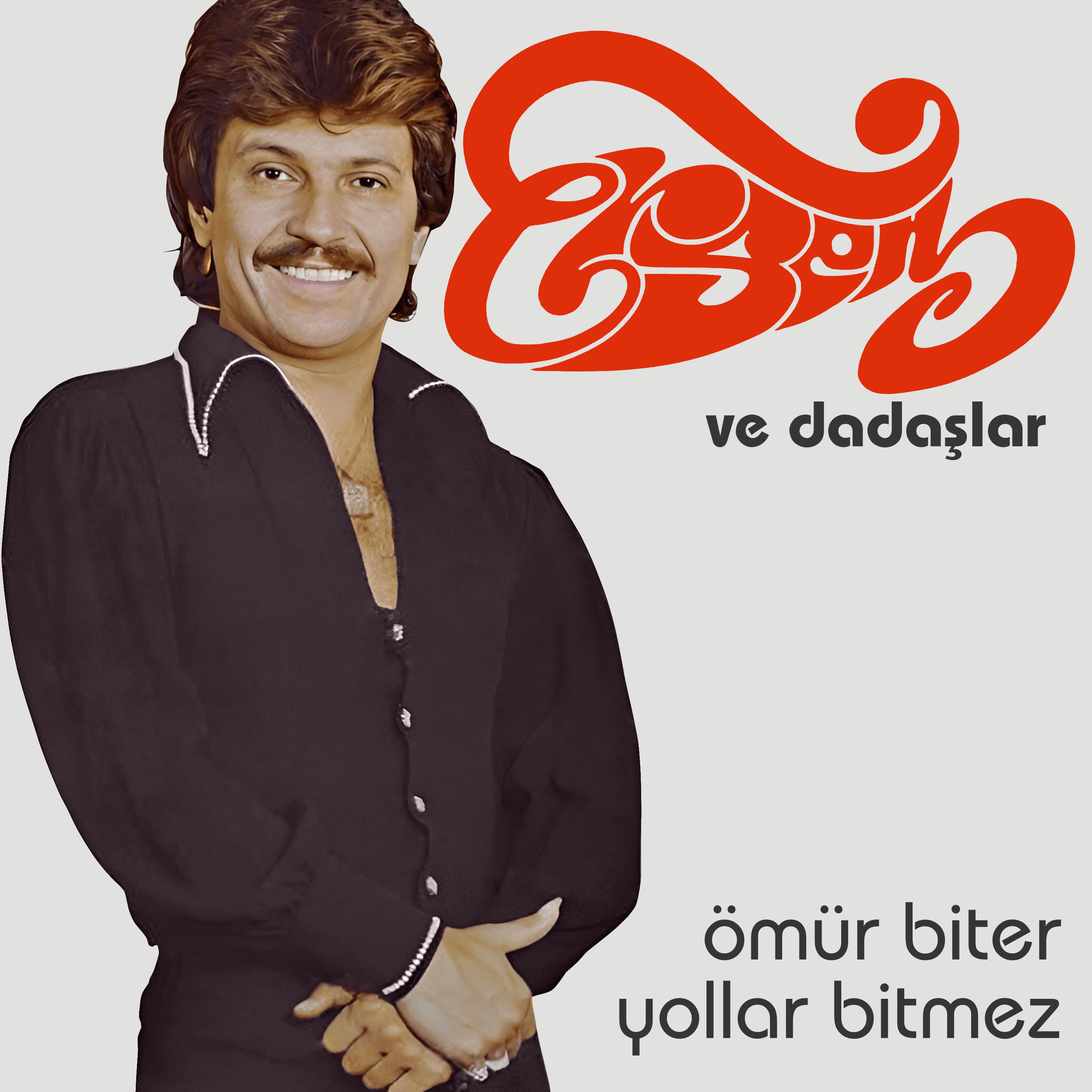 Постер альбома Ömür Biter Yollar Bitmez