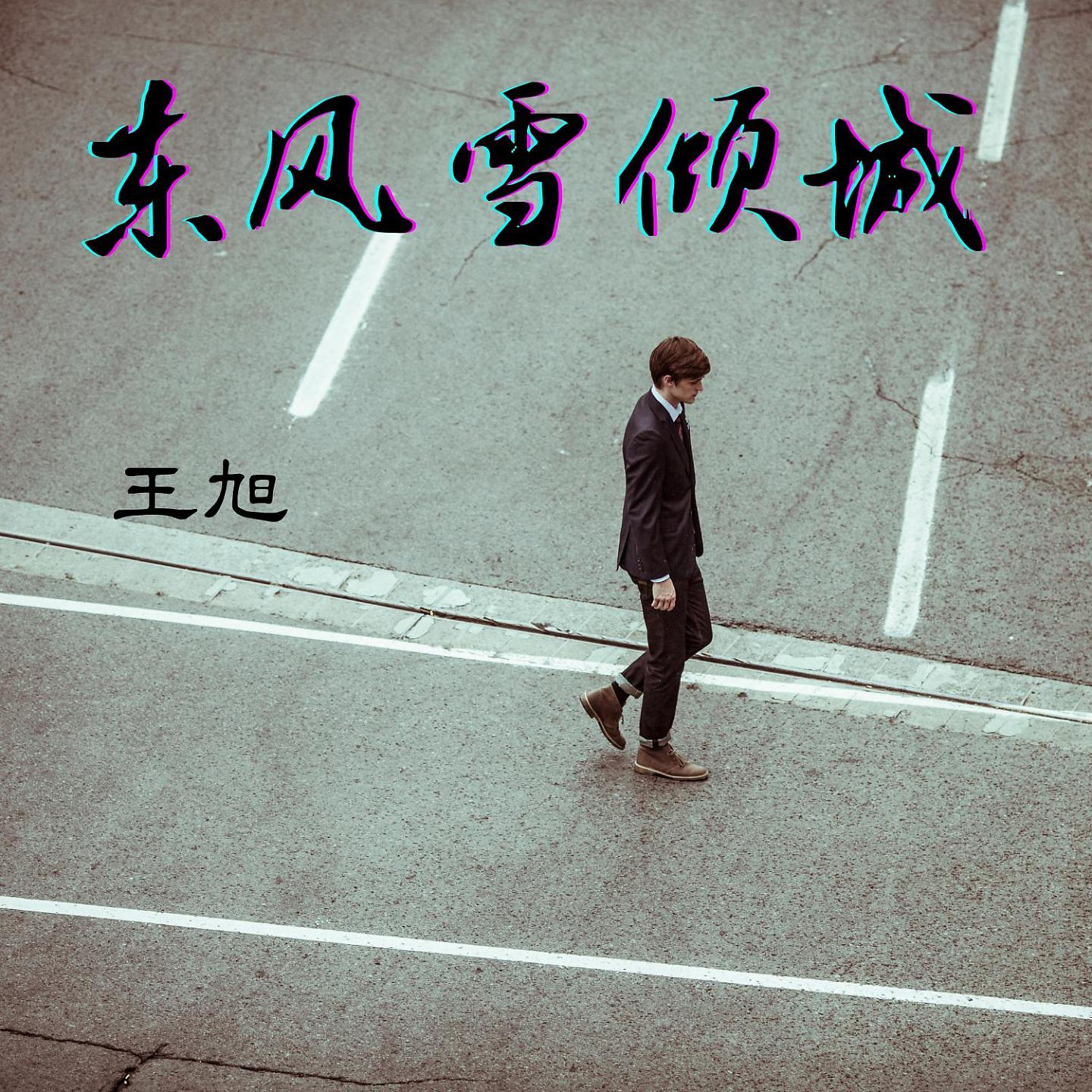 Постер альбома 东风雪倾城