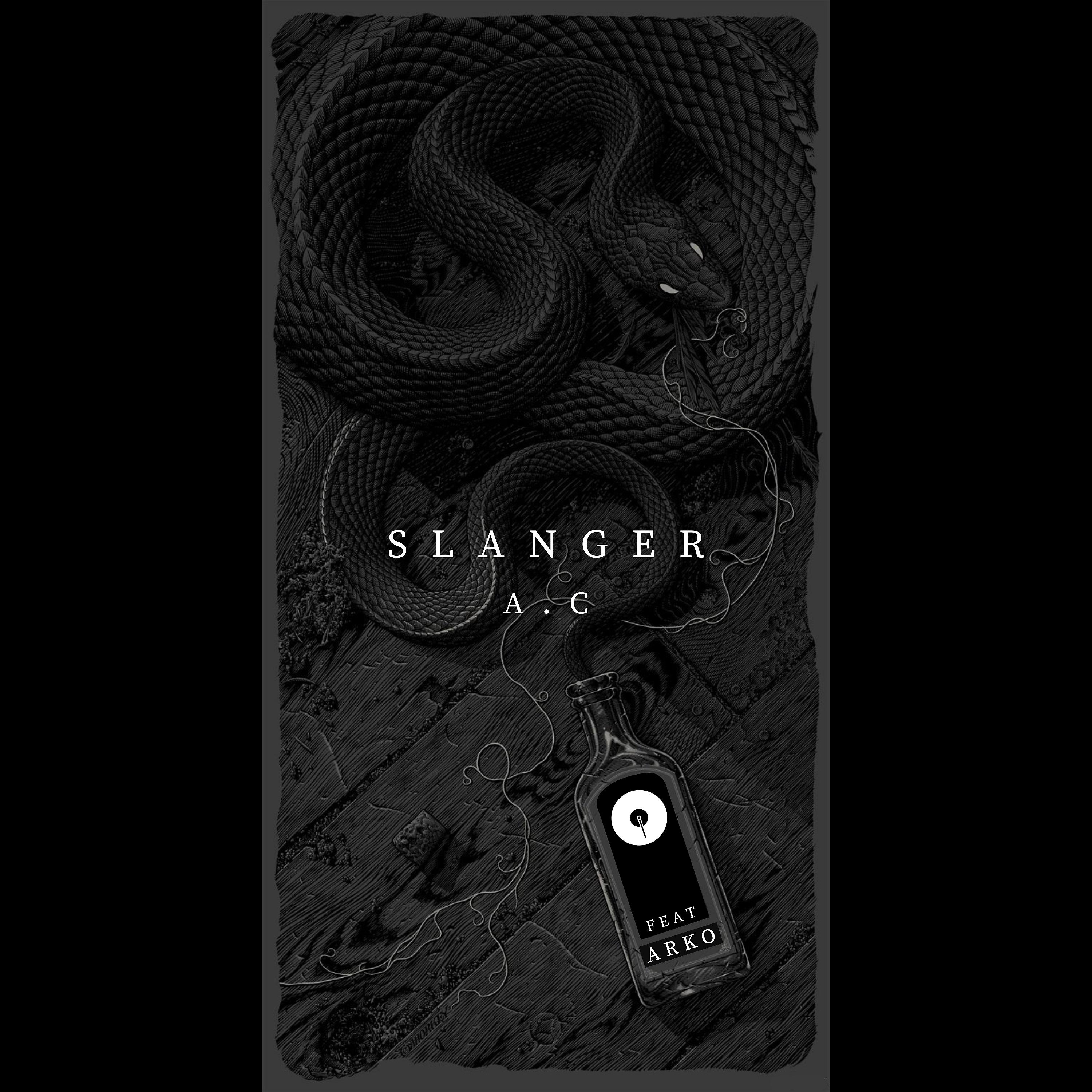 Постер альбома Slanger