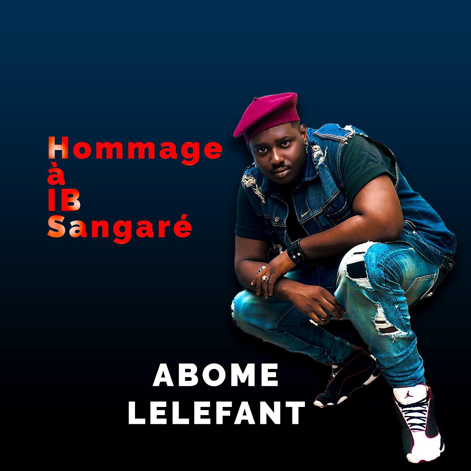 Постер альбома Hommage à ib sangaré