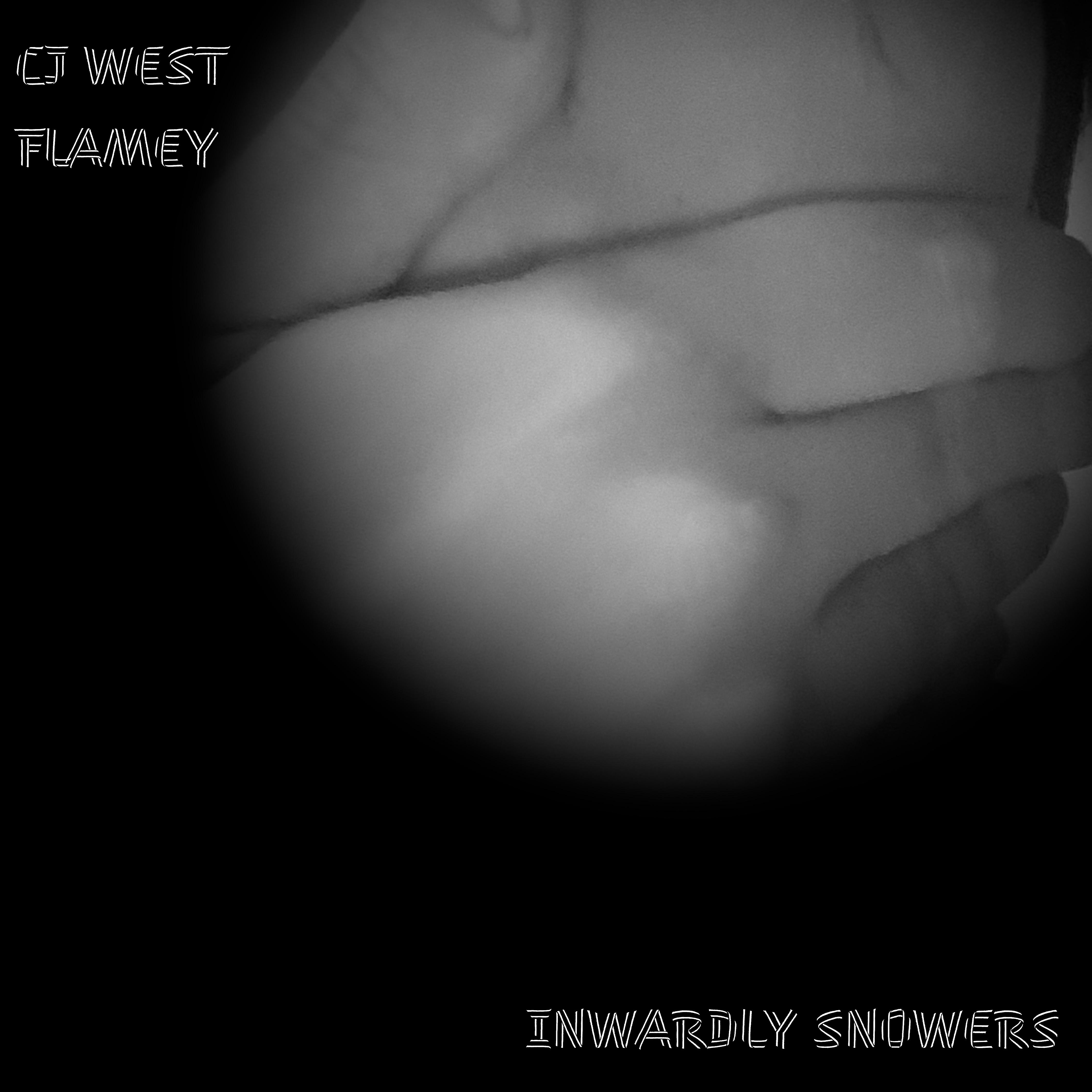 Постер альбома Inwardly Snowers