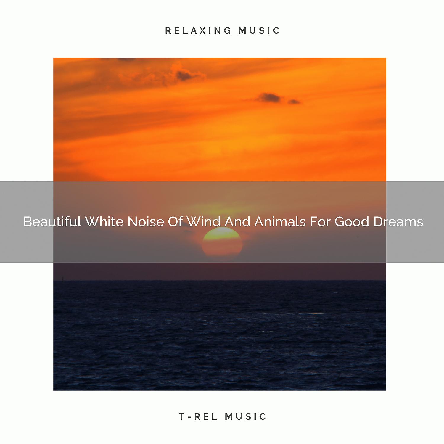 Постер альбома Beautiful White Noise Of Wind And Animals For Good Dreams