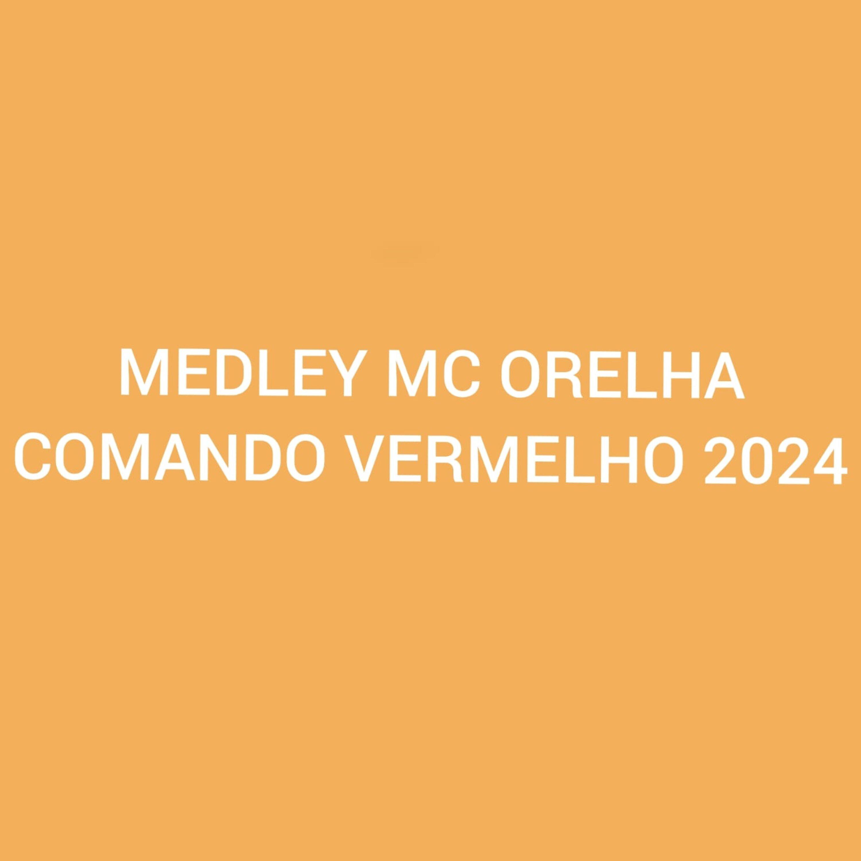 Постер альбома Medley Mc Orelha Comando Vermelho 2024