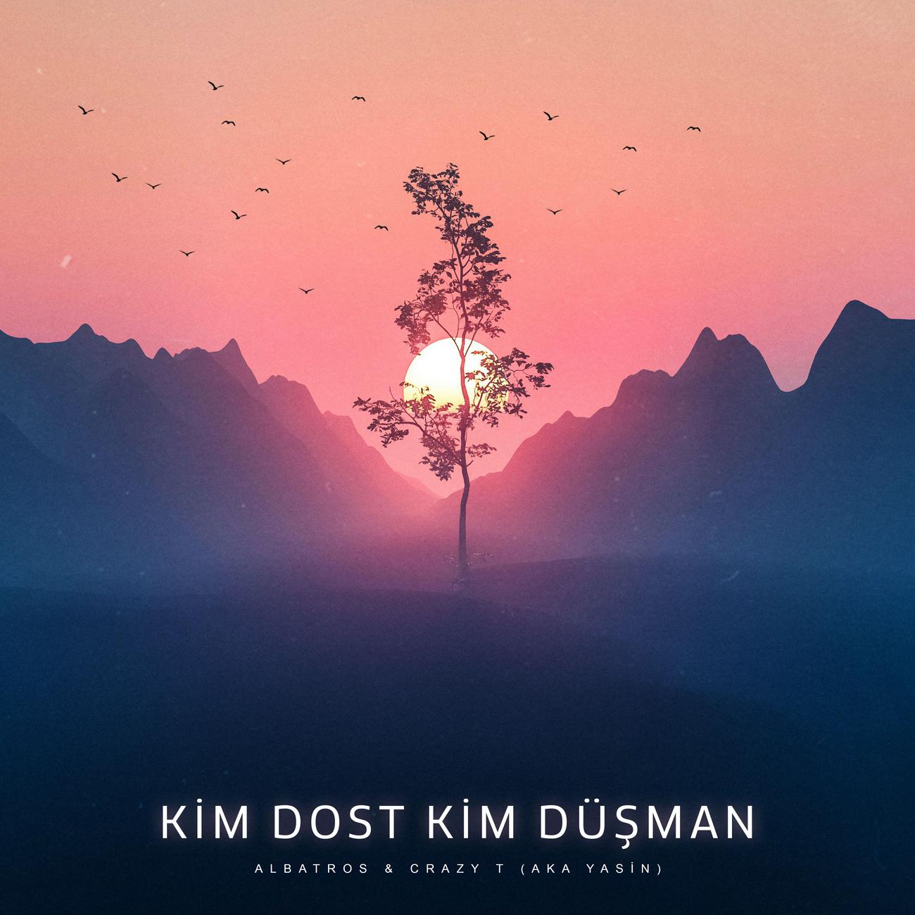 Постер альбома Kim Dost Kim Düşman