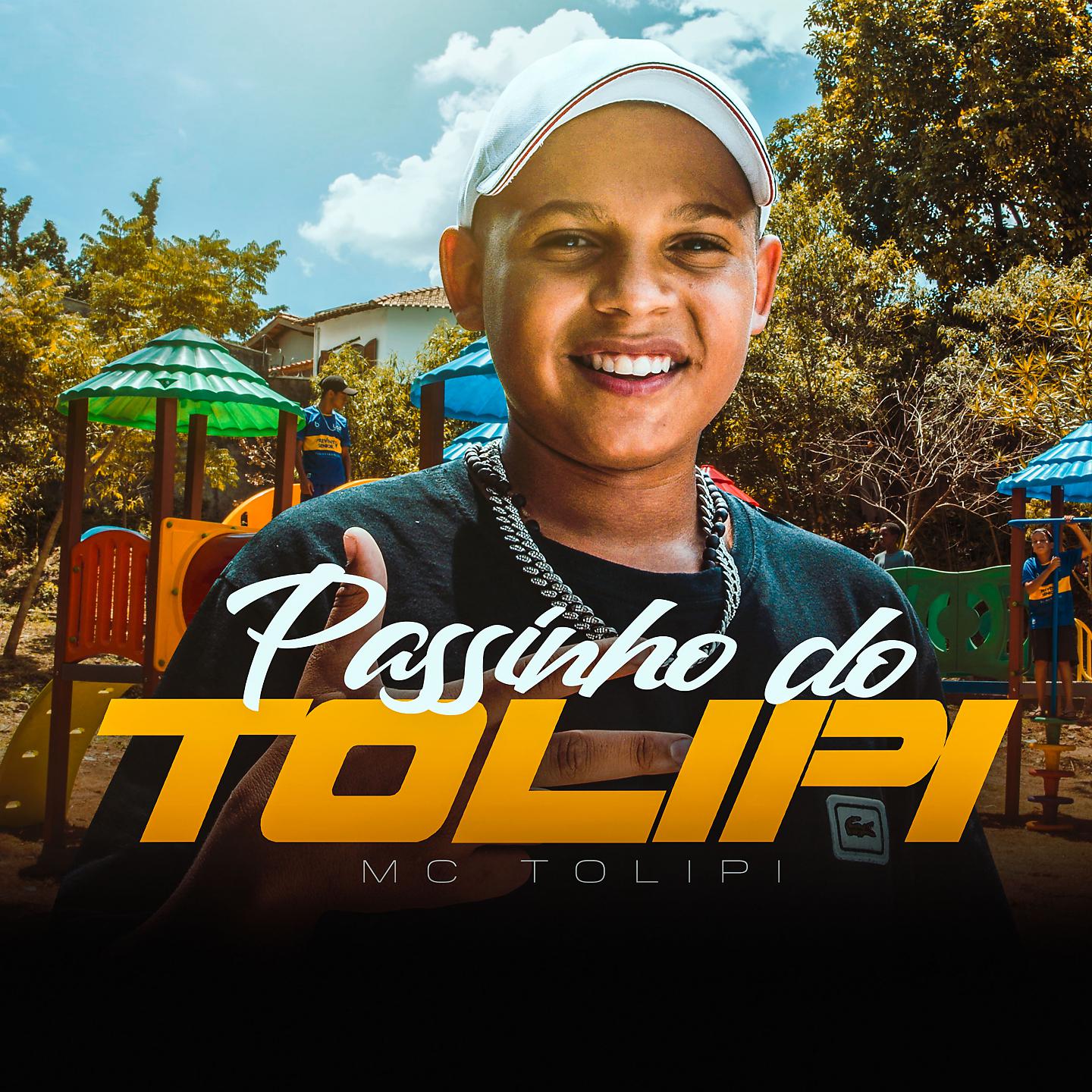 Постер альбома Passinho do Tolipi