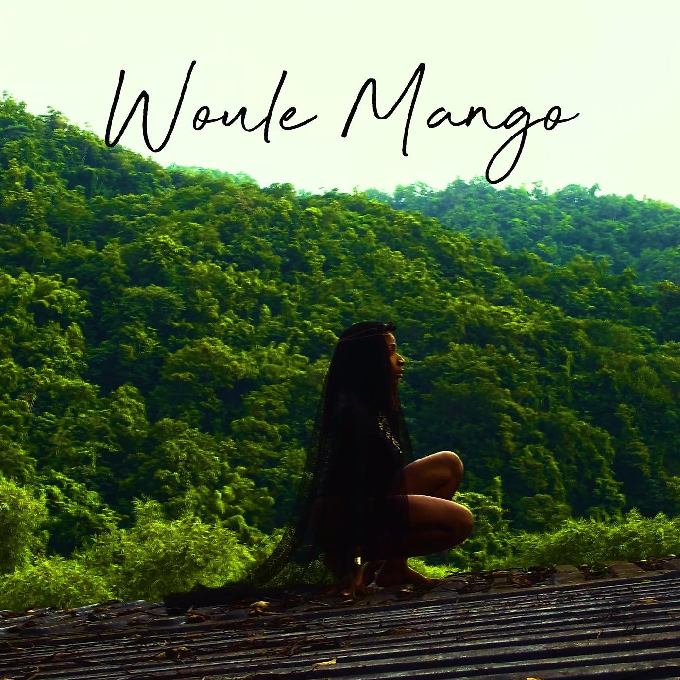 Постер альбома Woule Mango