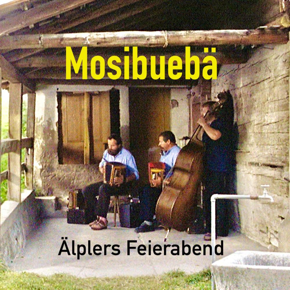 Постер альбома Älplers Feierabend