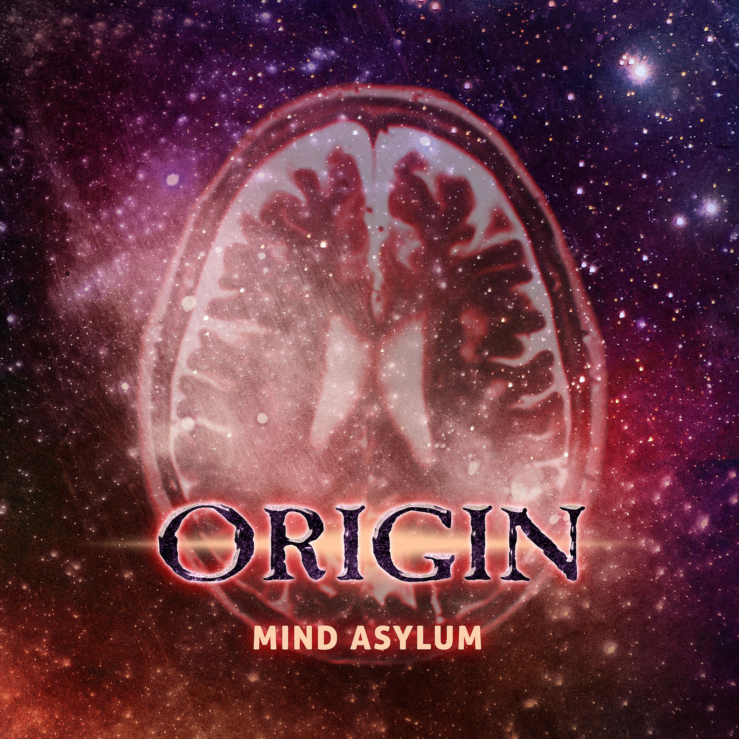 Постер альбома Mind Asylum