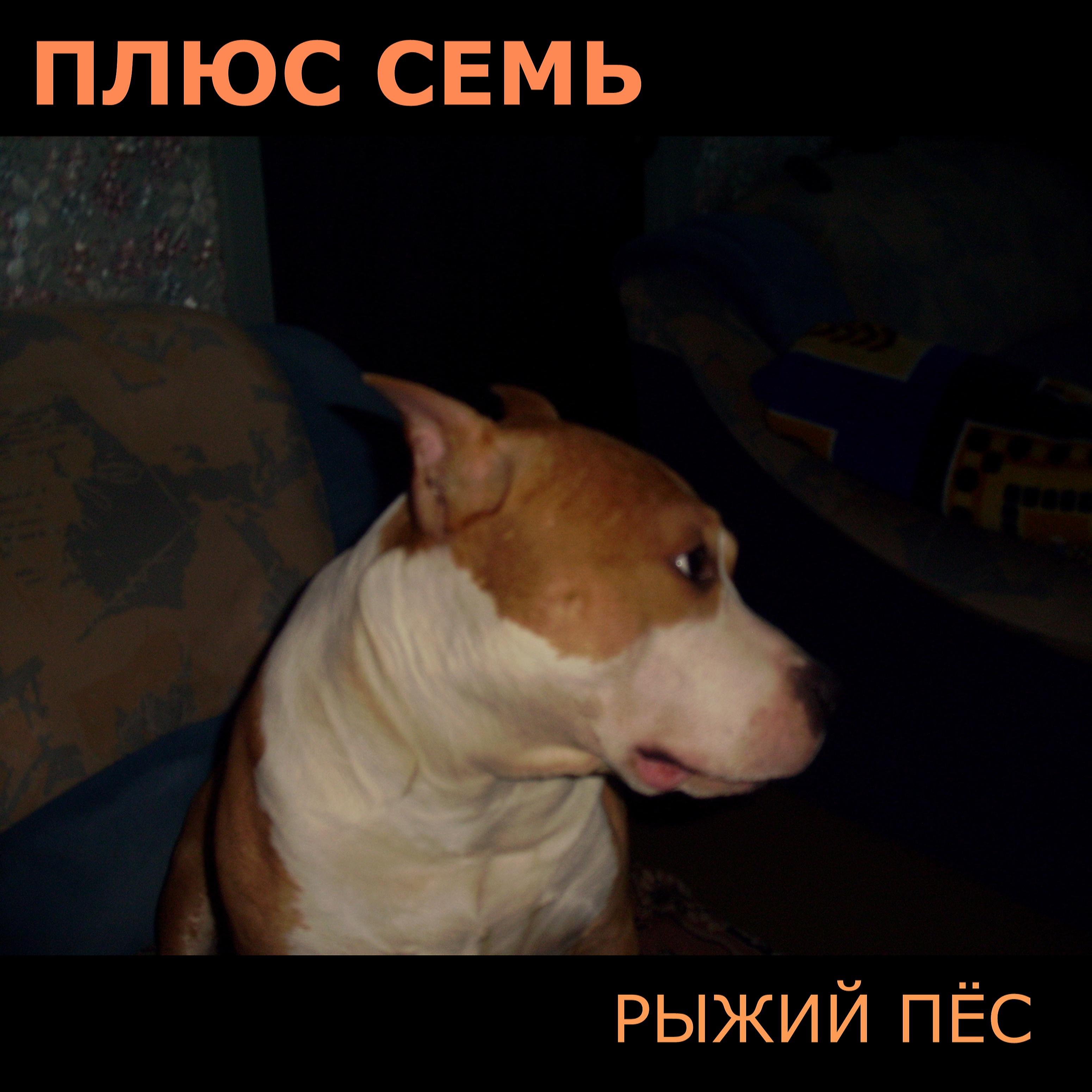 Постер альбома Рыжий пёс