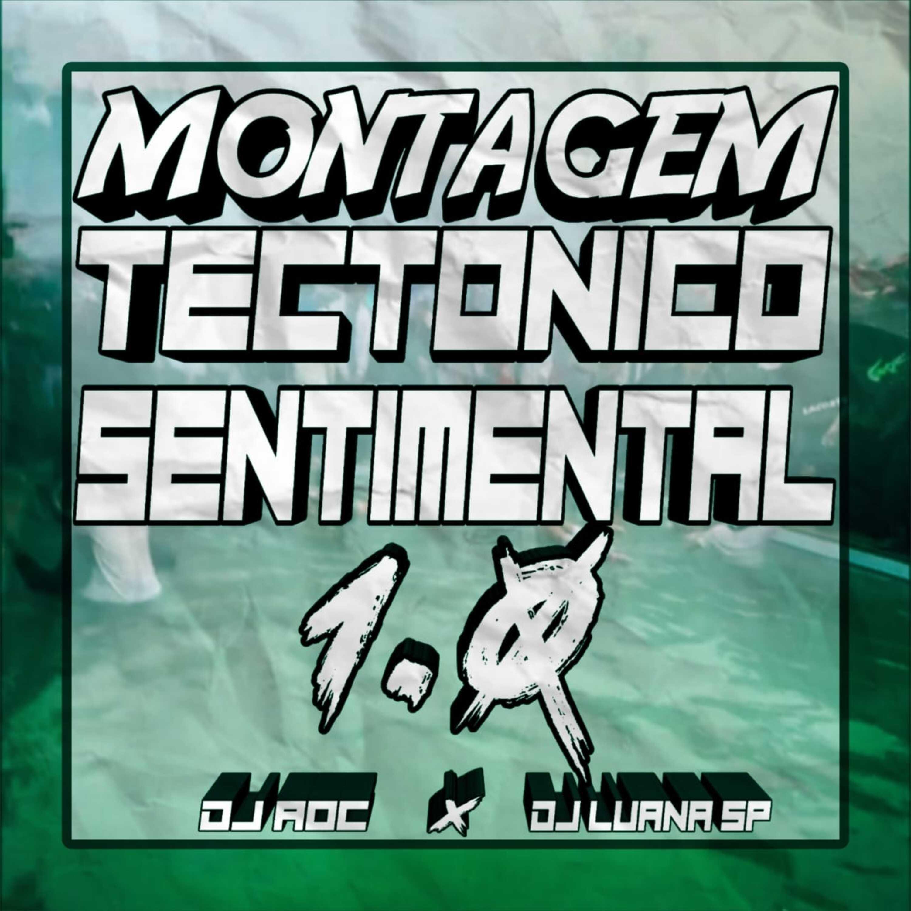 Постер альбома Montagem Tectônico Sentimental