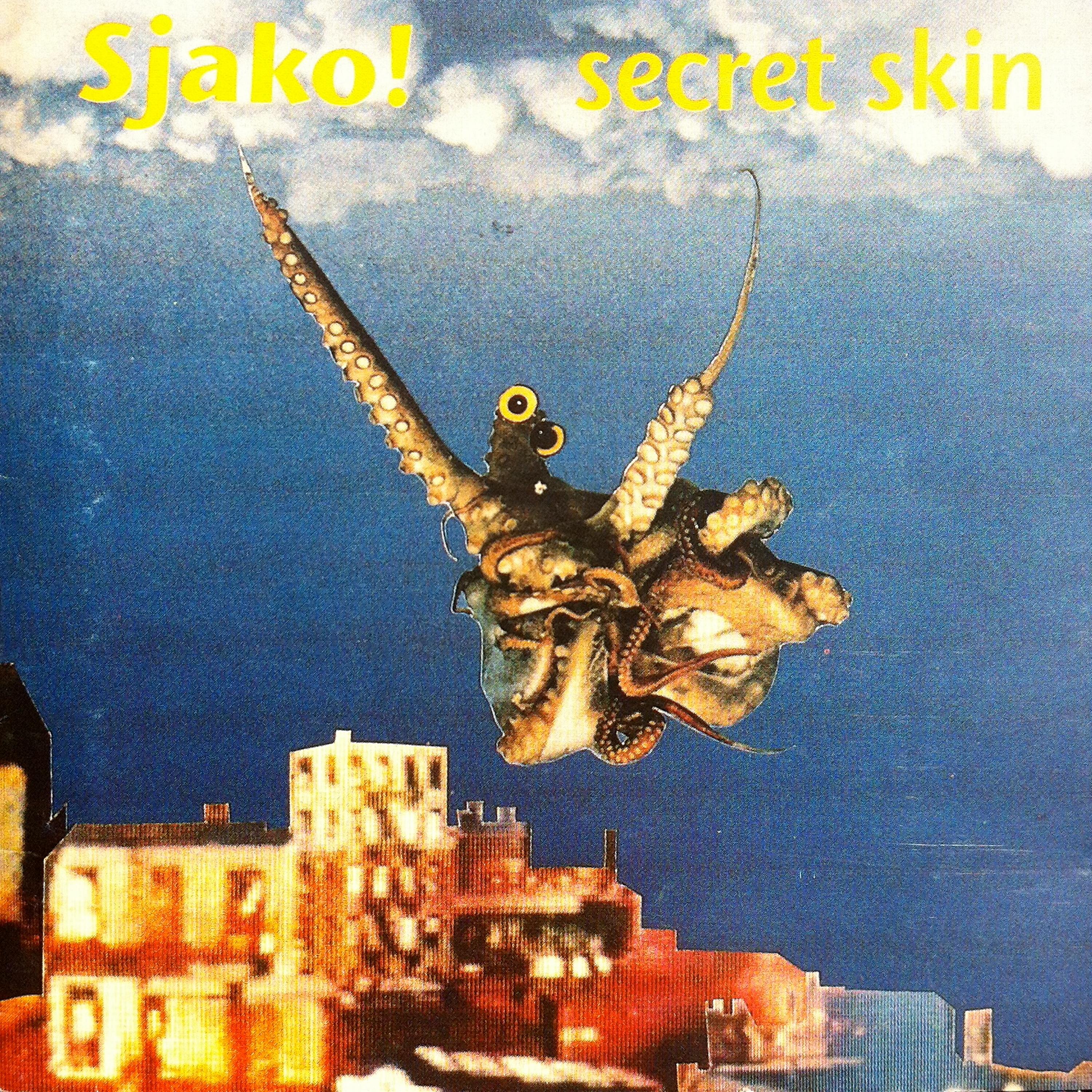 Постер альбома Secret Skin