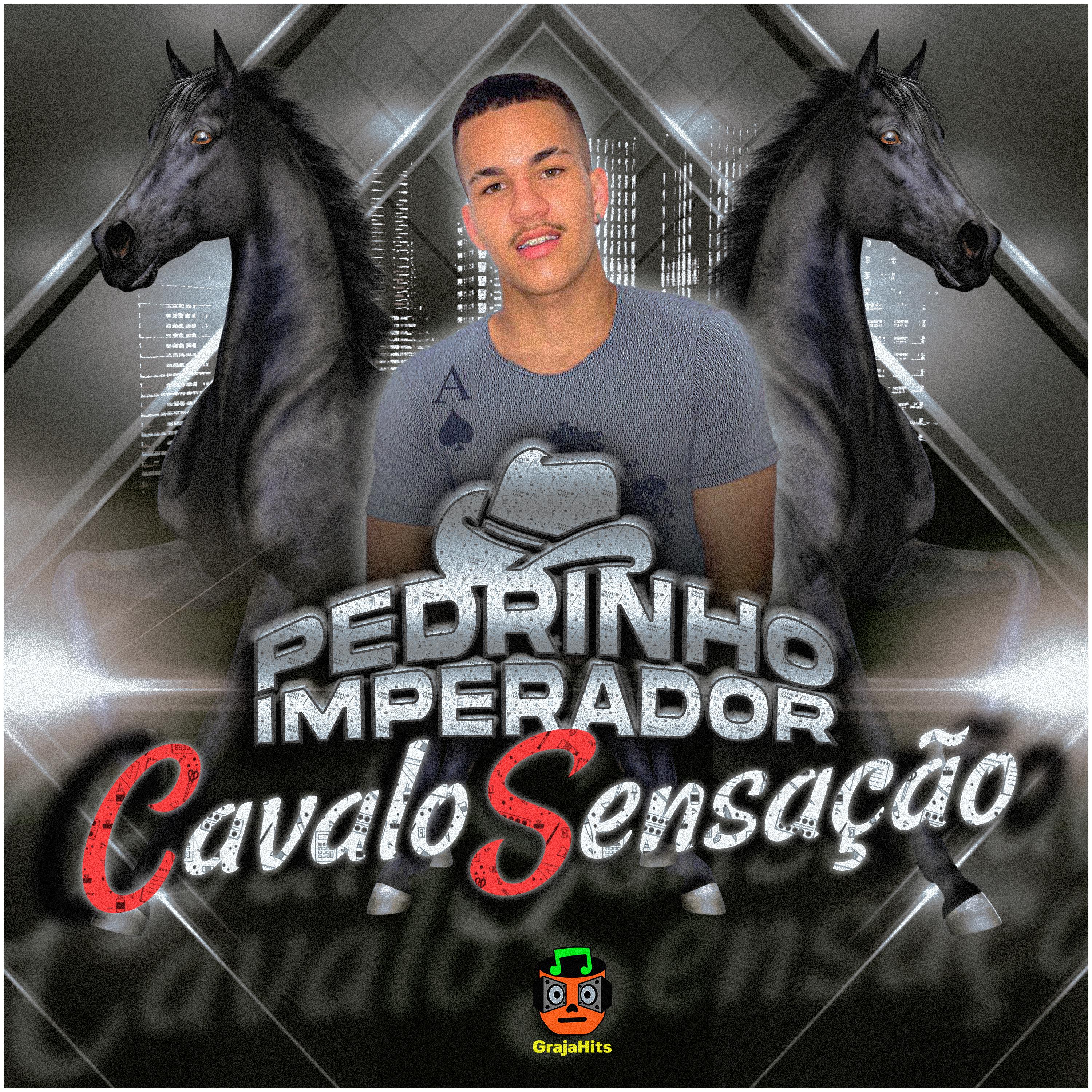 Постер альбома Cavalo Sensação