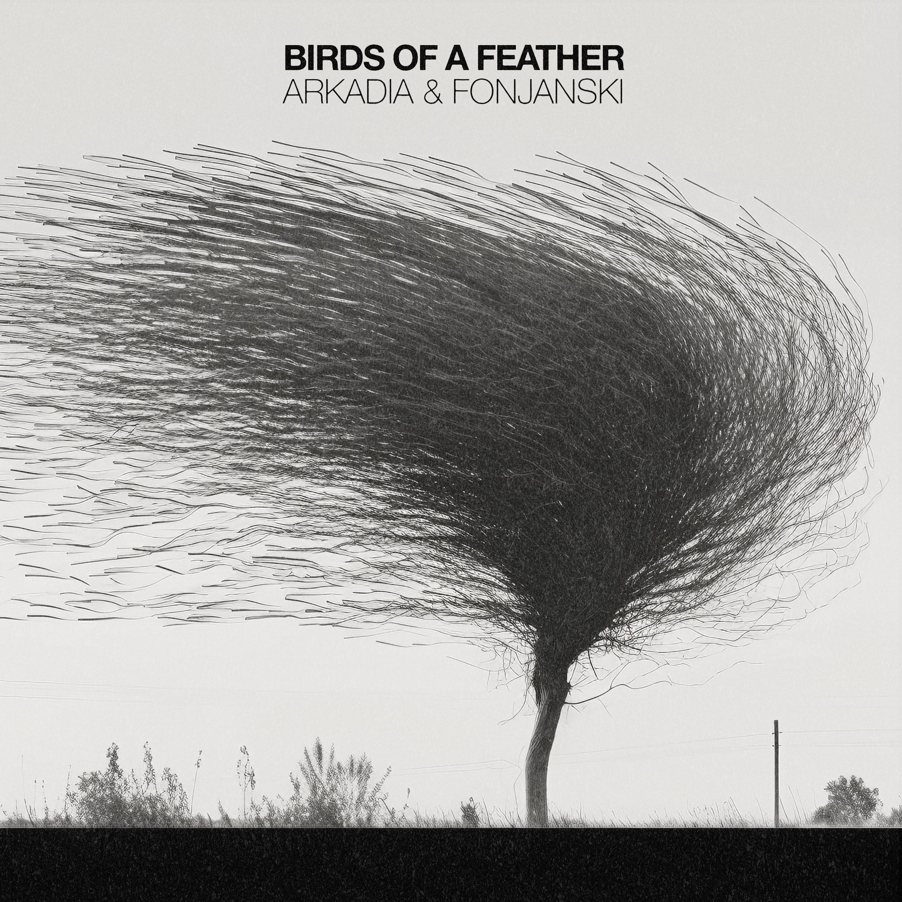Постер альбома Birds Of A Feather