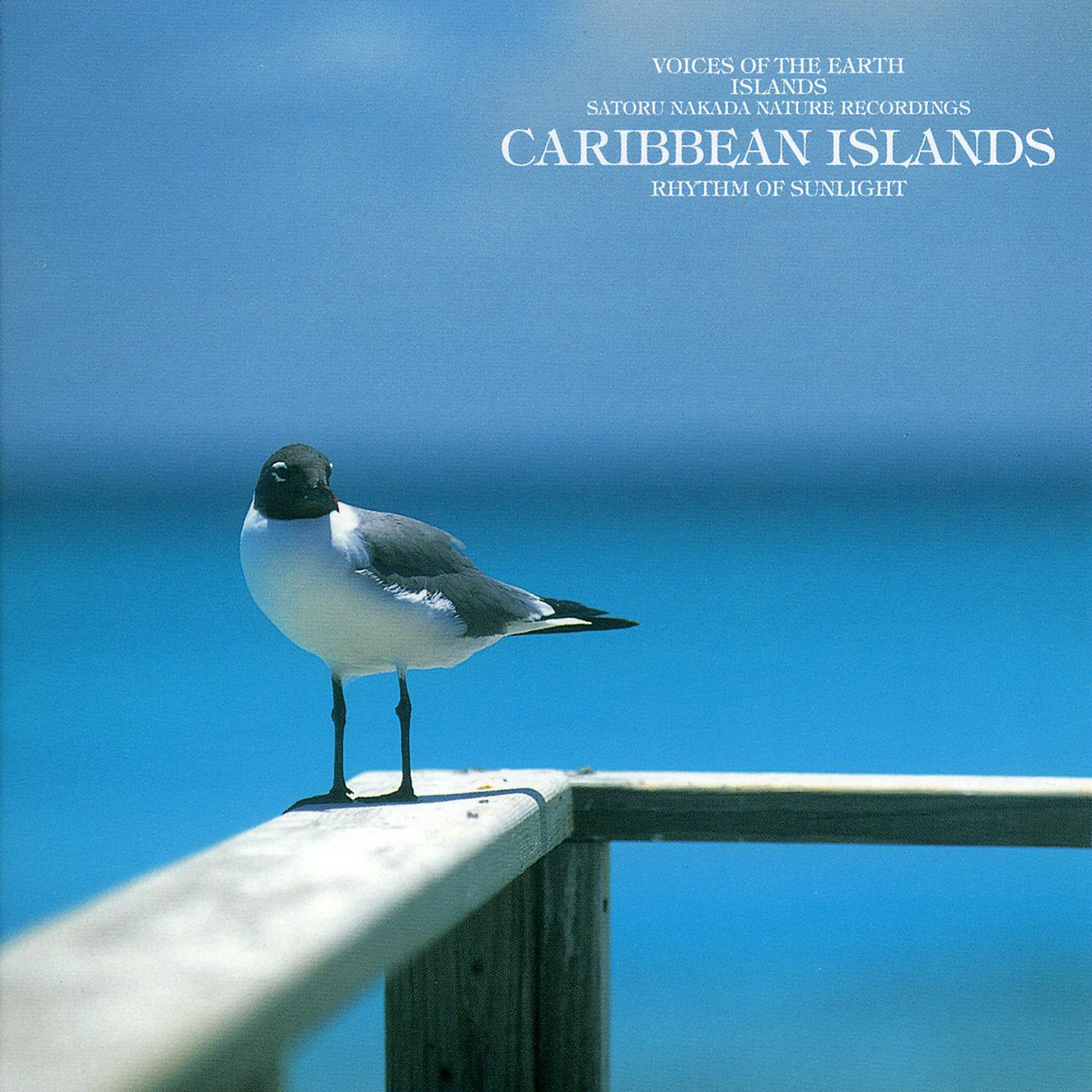 Постер альбома Voices Of The Earth Islands Nature Recordings Rhythm Of Sunlight Caribbean Ialands
