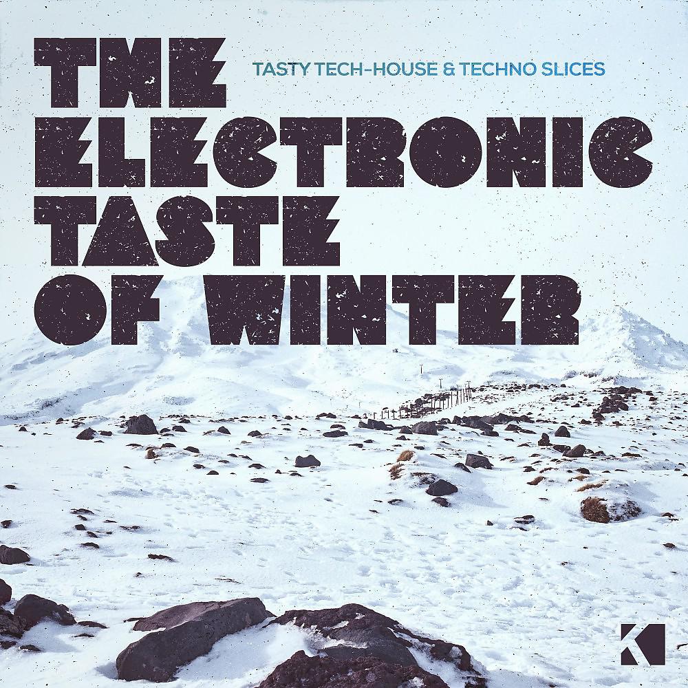 Постер альбома The Electronic Taste of Winter (Tasty Tech-House & Techno Slices)