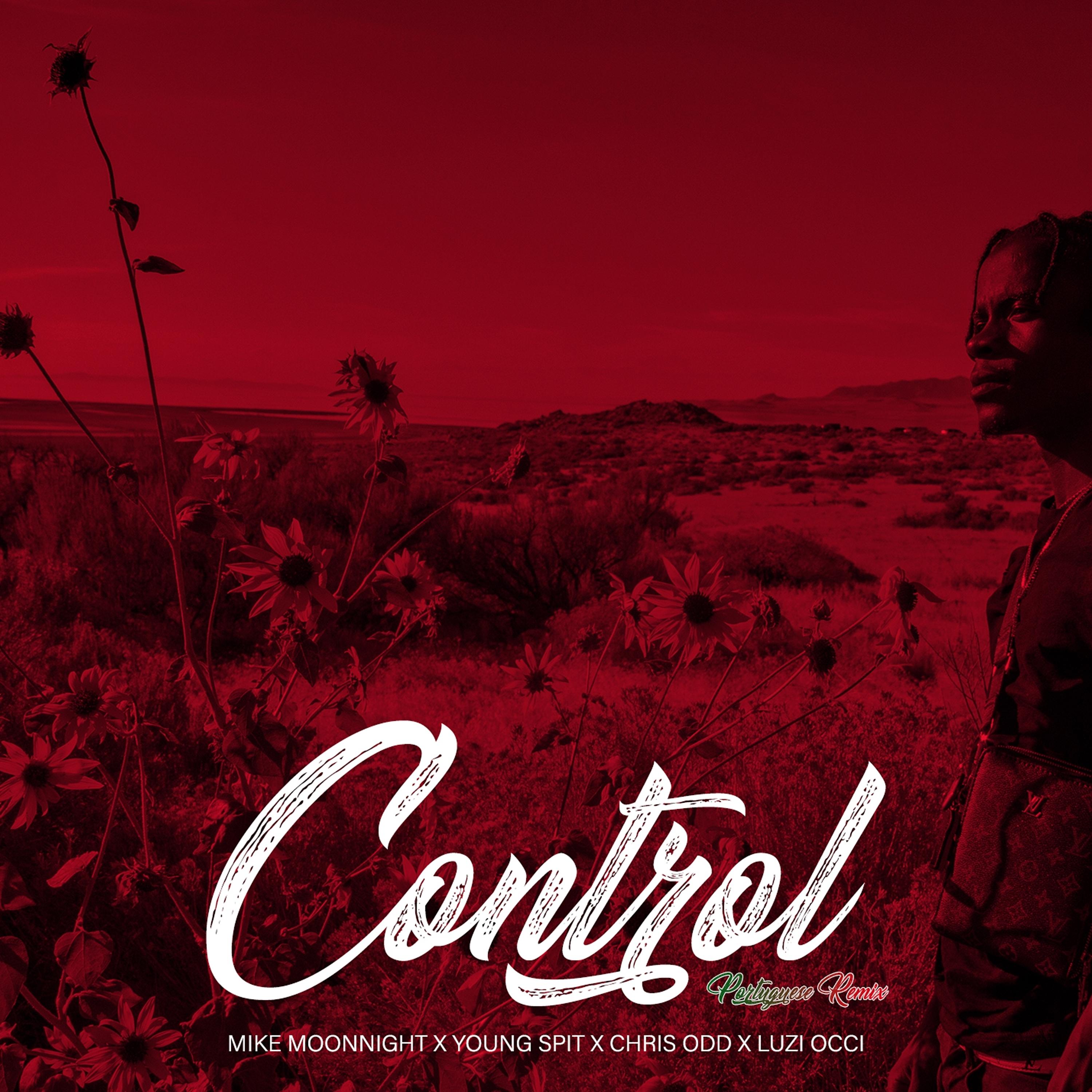 Постер альбома Control (Portuguese Remix)