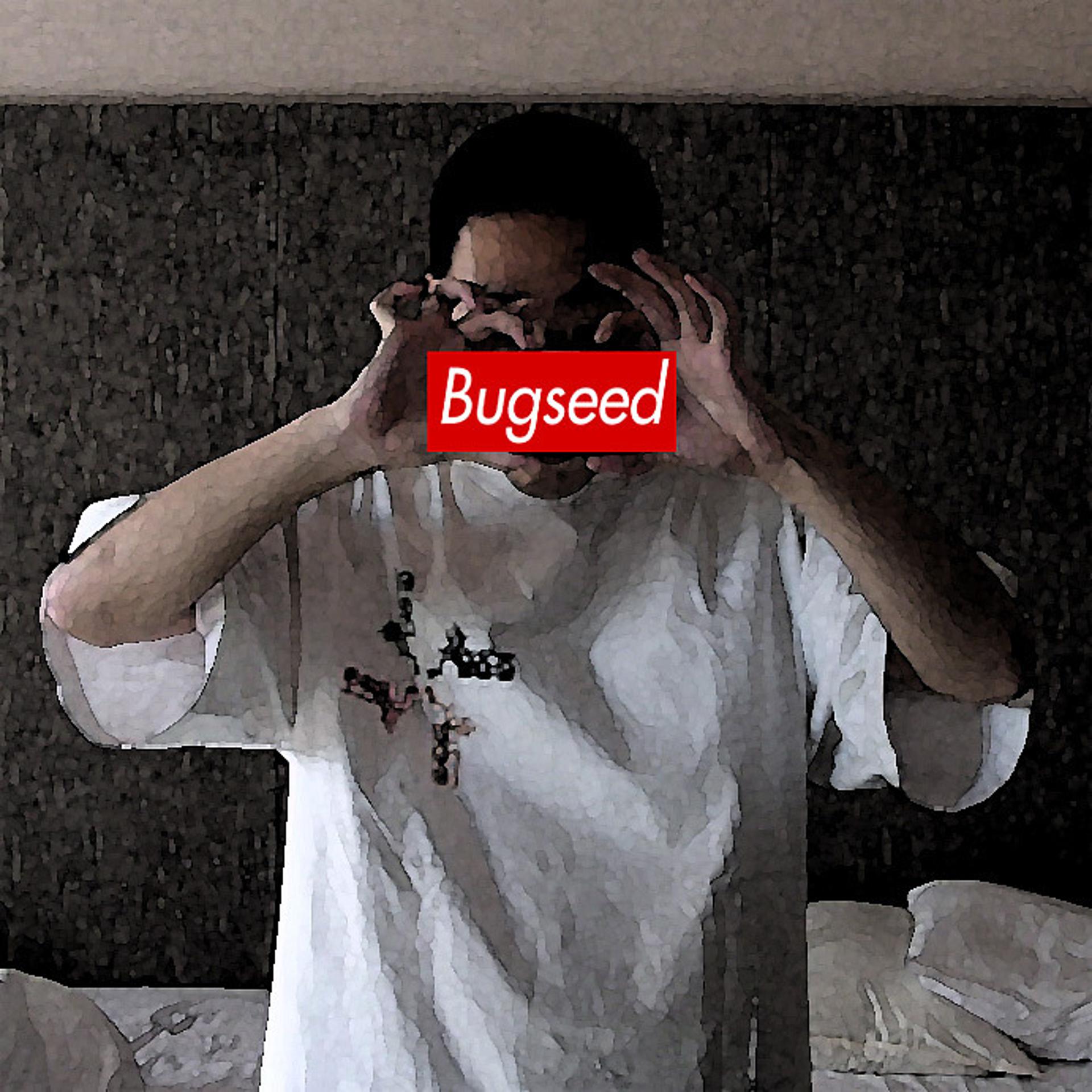 Bugseed - фото