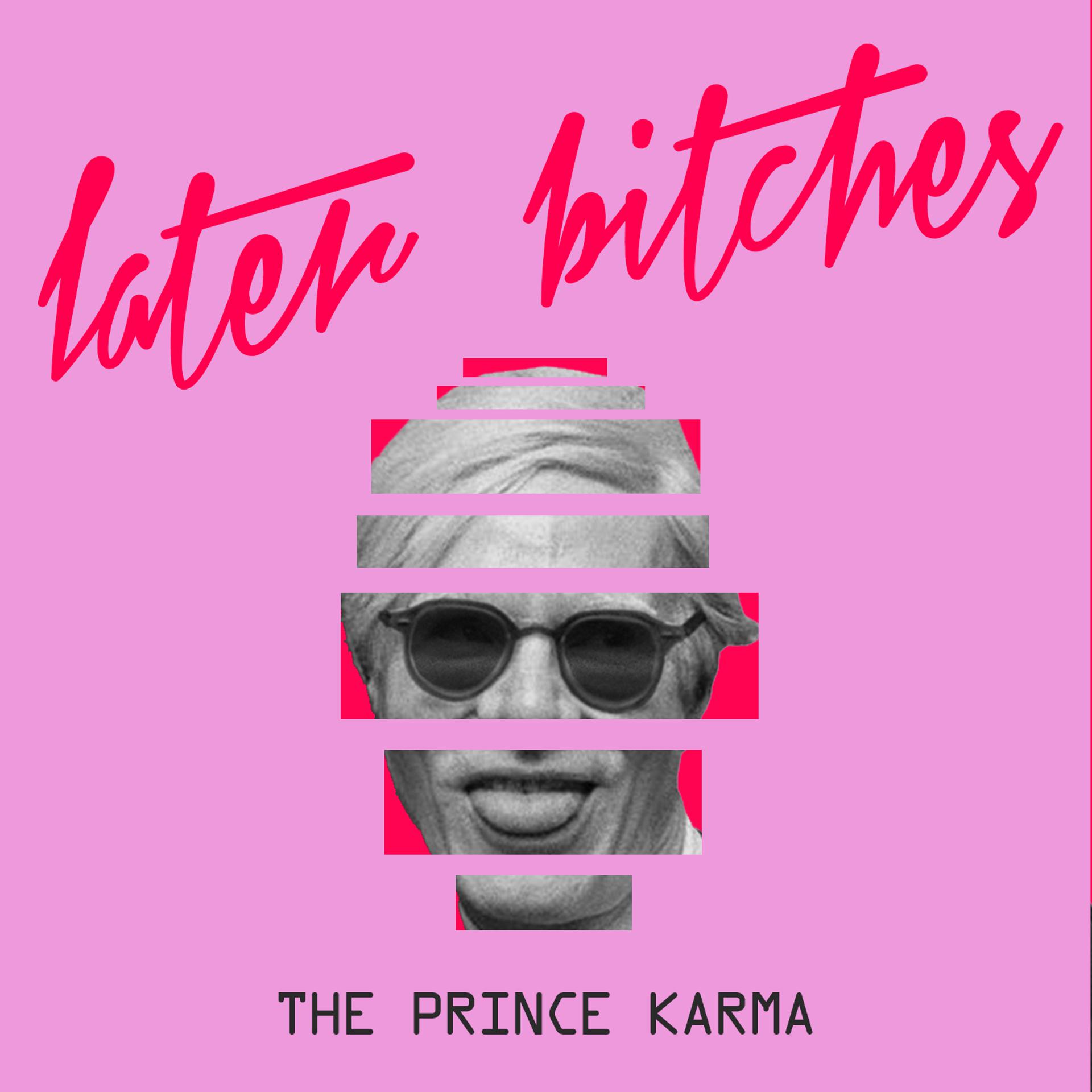 The Prince Karma - фото