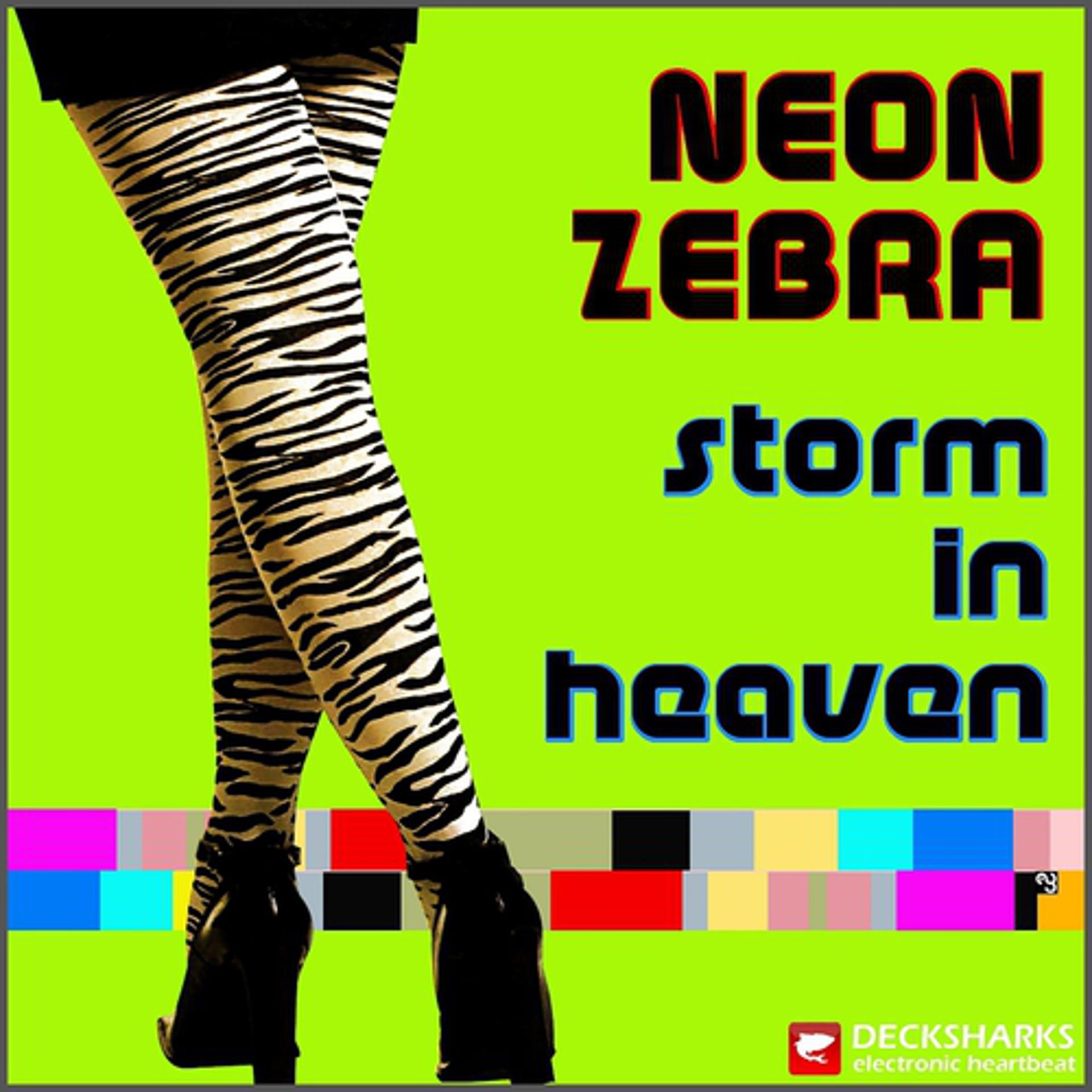 Постер альбома Storm In Heaven
