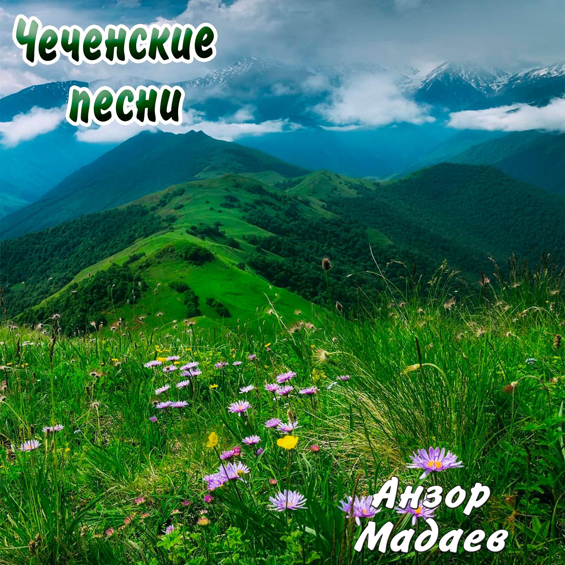 Постер альбома Чеченские песни