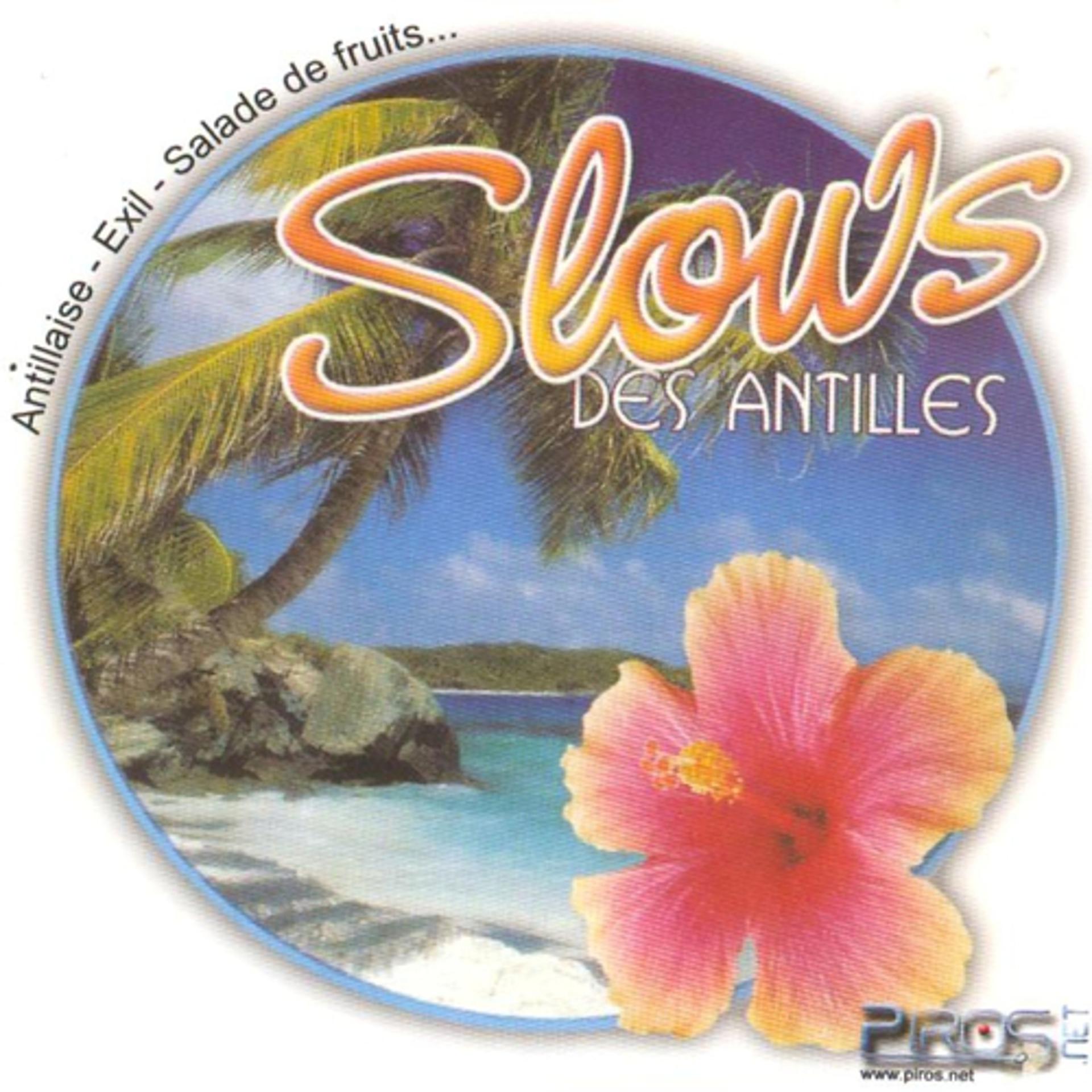 Постер альбома Slows des Antilles, vol. 4