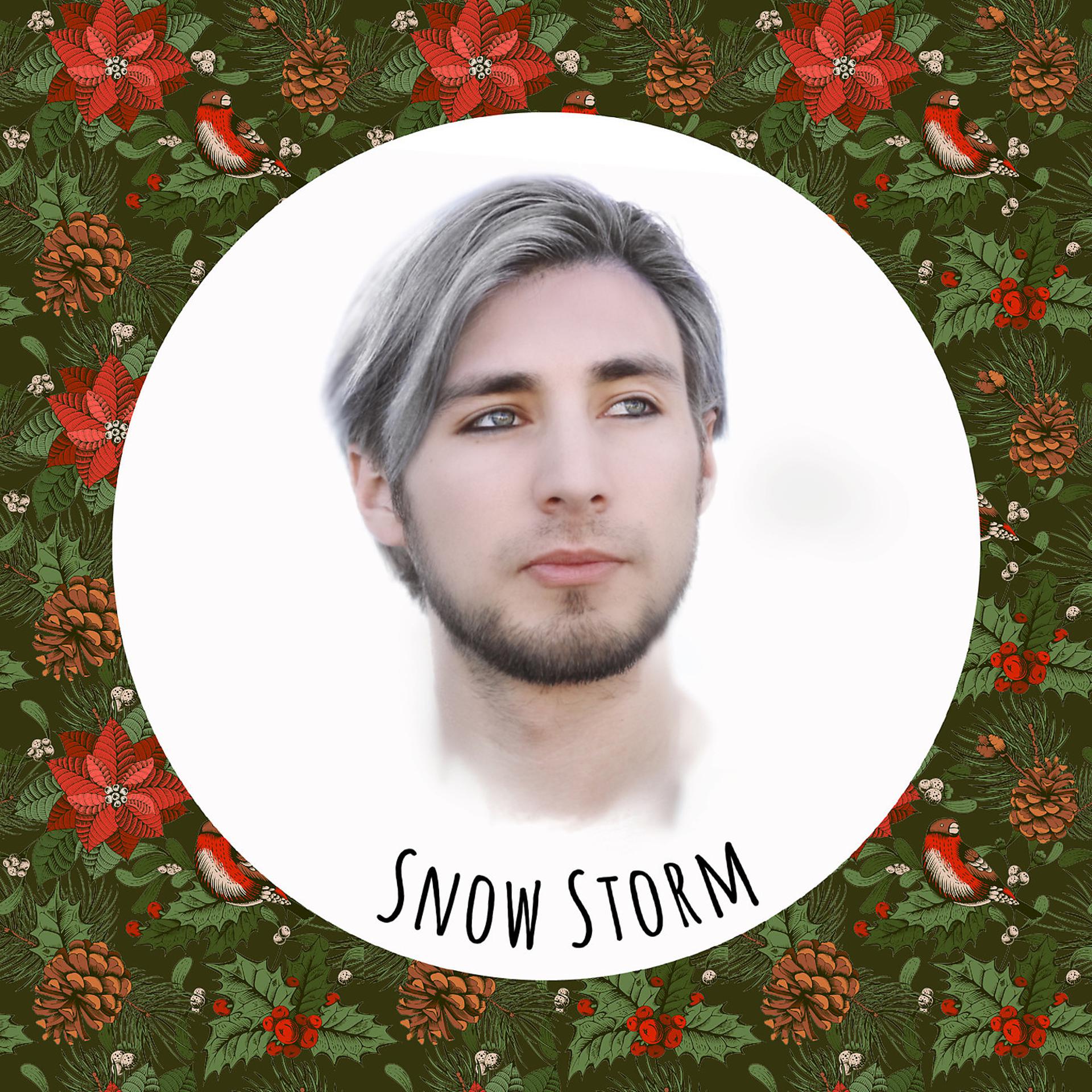 Постер альбома Snow Storm