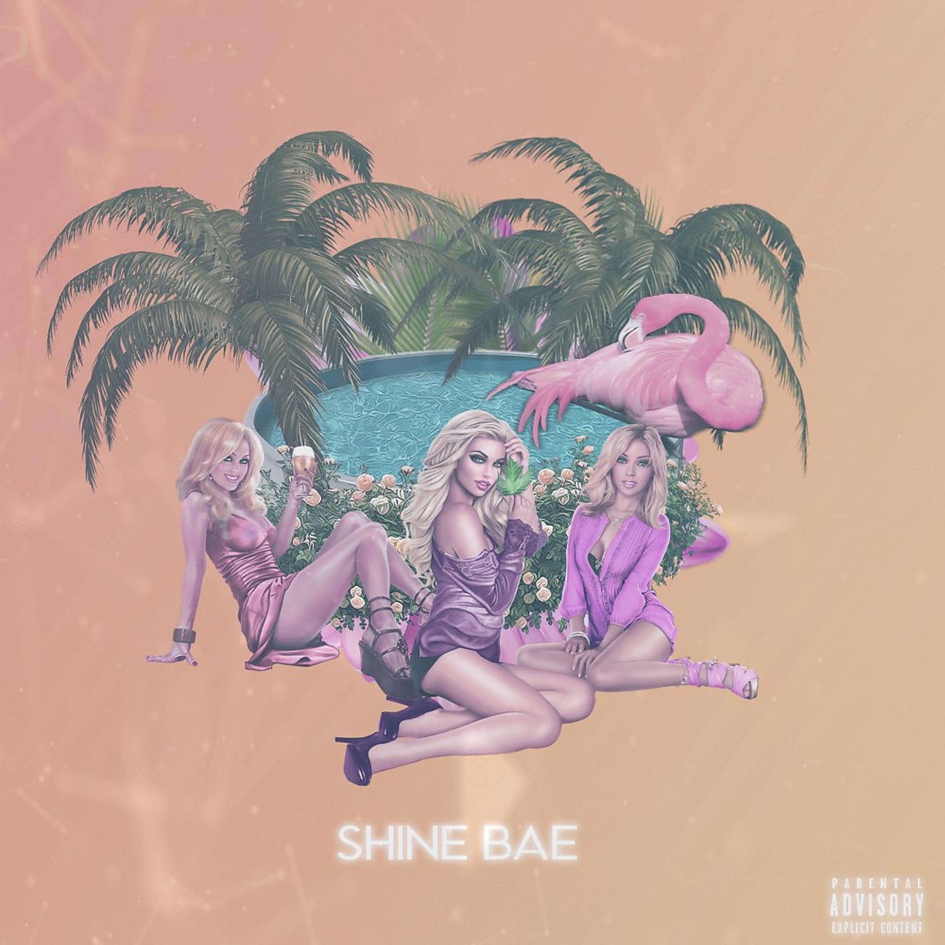 Постер альбома Shine Bae