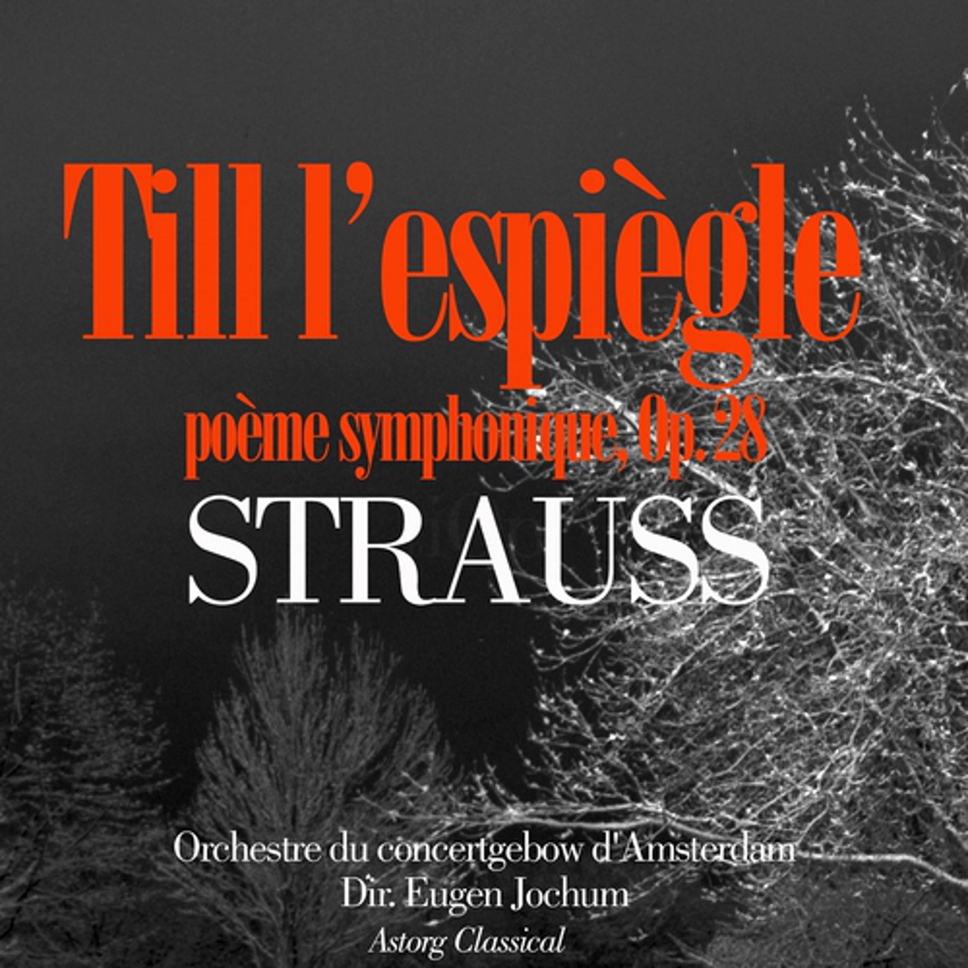 Постер альбома Strauss : Till l'espiègle - Don Juan