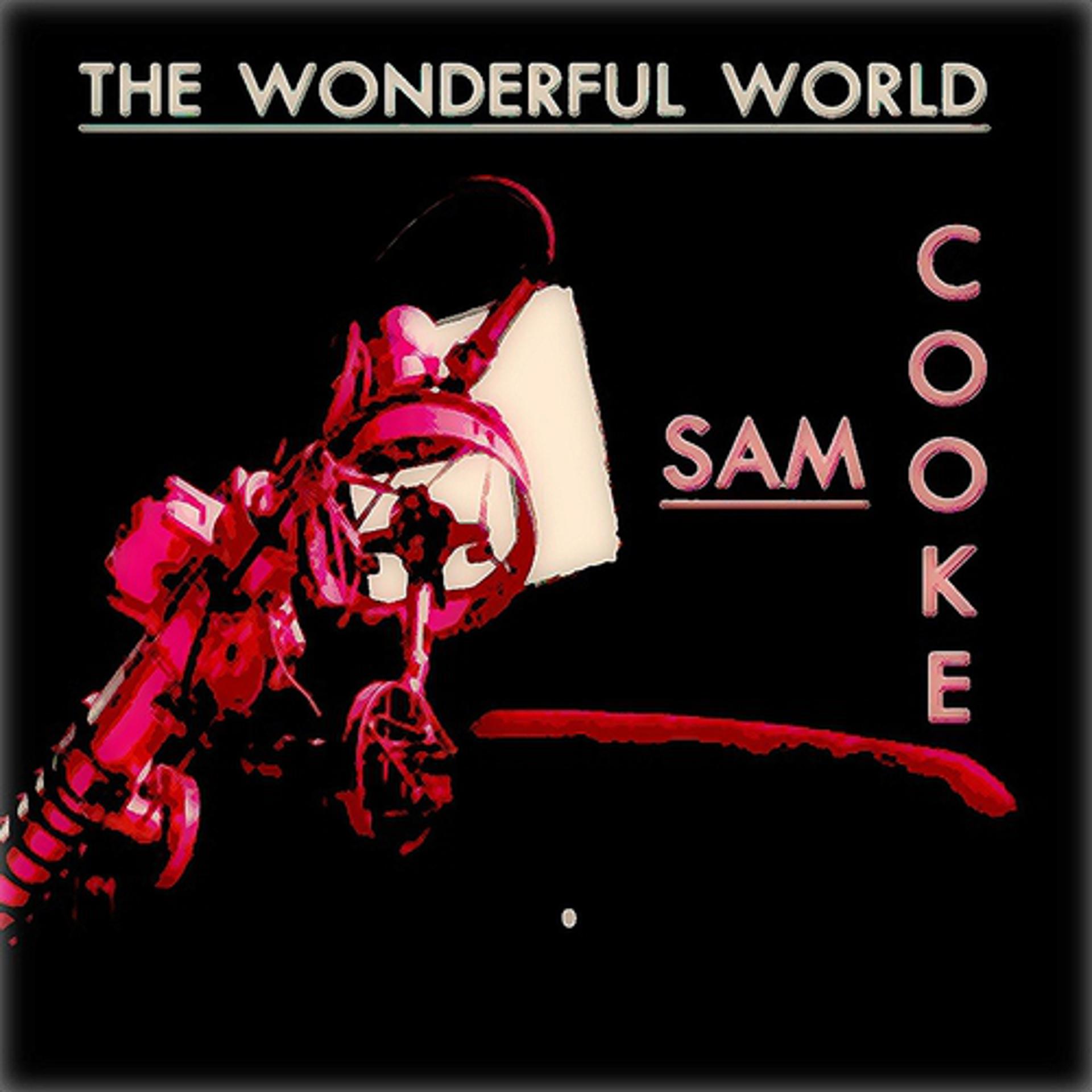 Постер альбома The Wonderful World (50 Tracks Remastered)