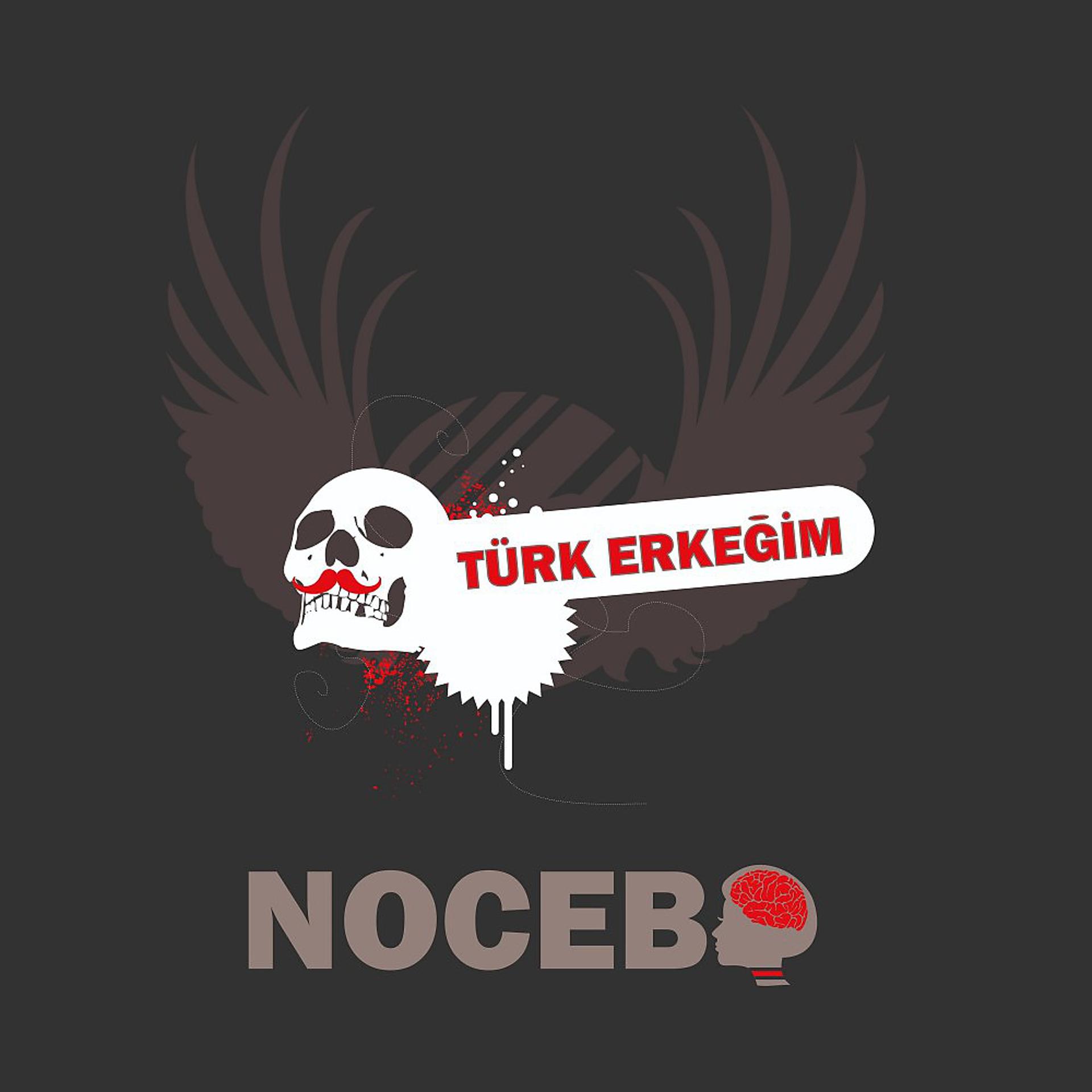 Постер альбома Türk Erkegim (House Mix)