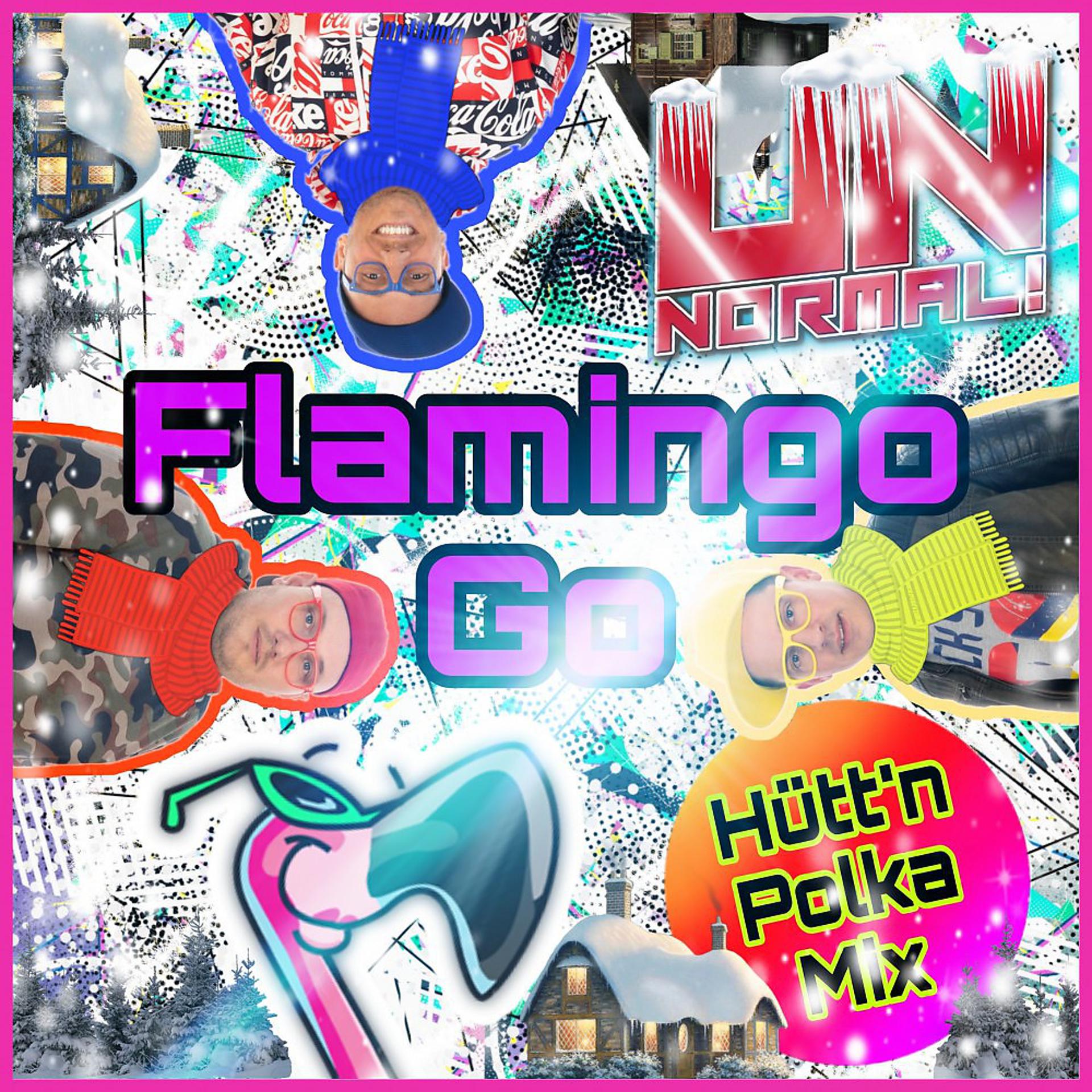 Постер альбома Flamingo Go (Hütt'n Polka Mix)