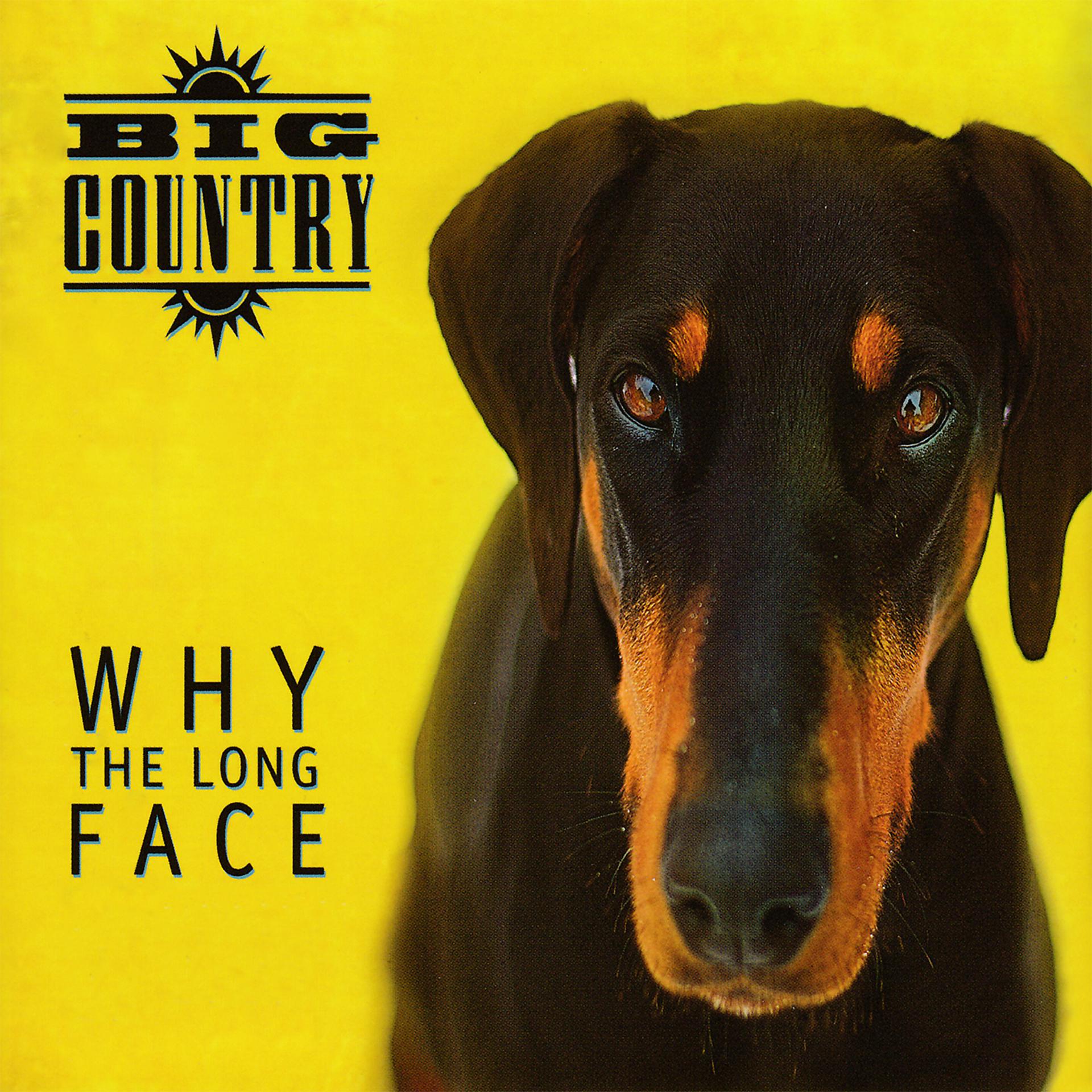 Постер альбома Why the Long Face (Bonus Tracks & Demos)