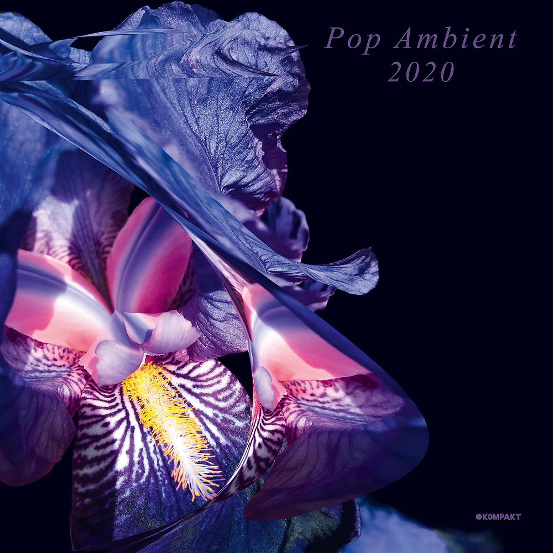 Постер альбома Pop Ambient 2020