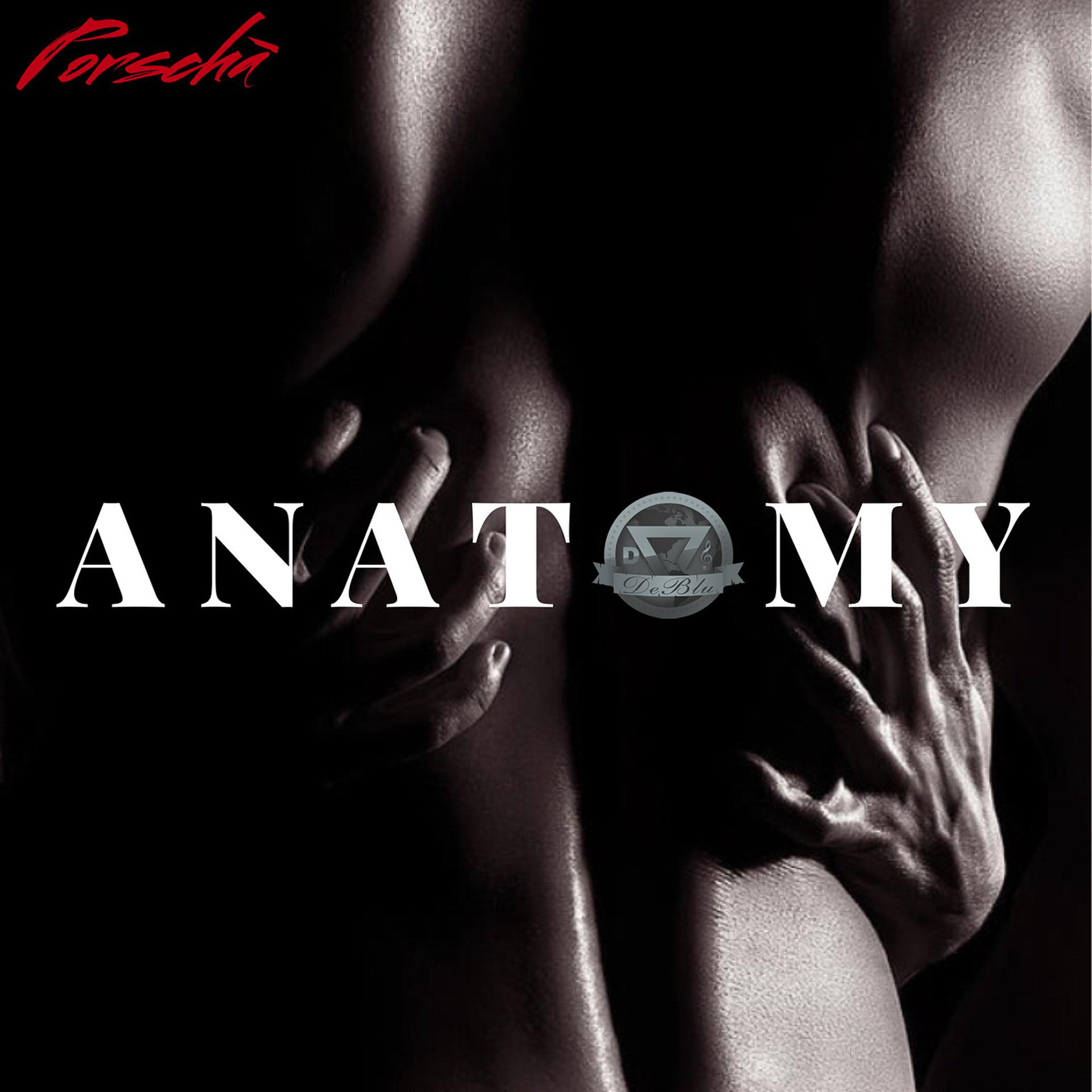 Постер альбома Anatomy